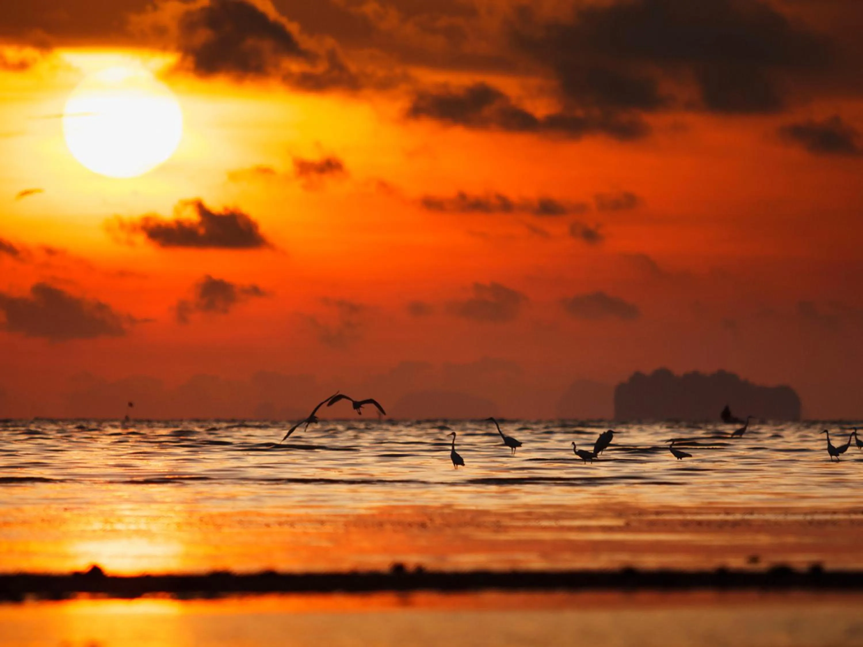 Nearby landmark in Novotel Phuket City Phokeethra