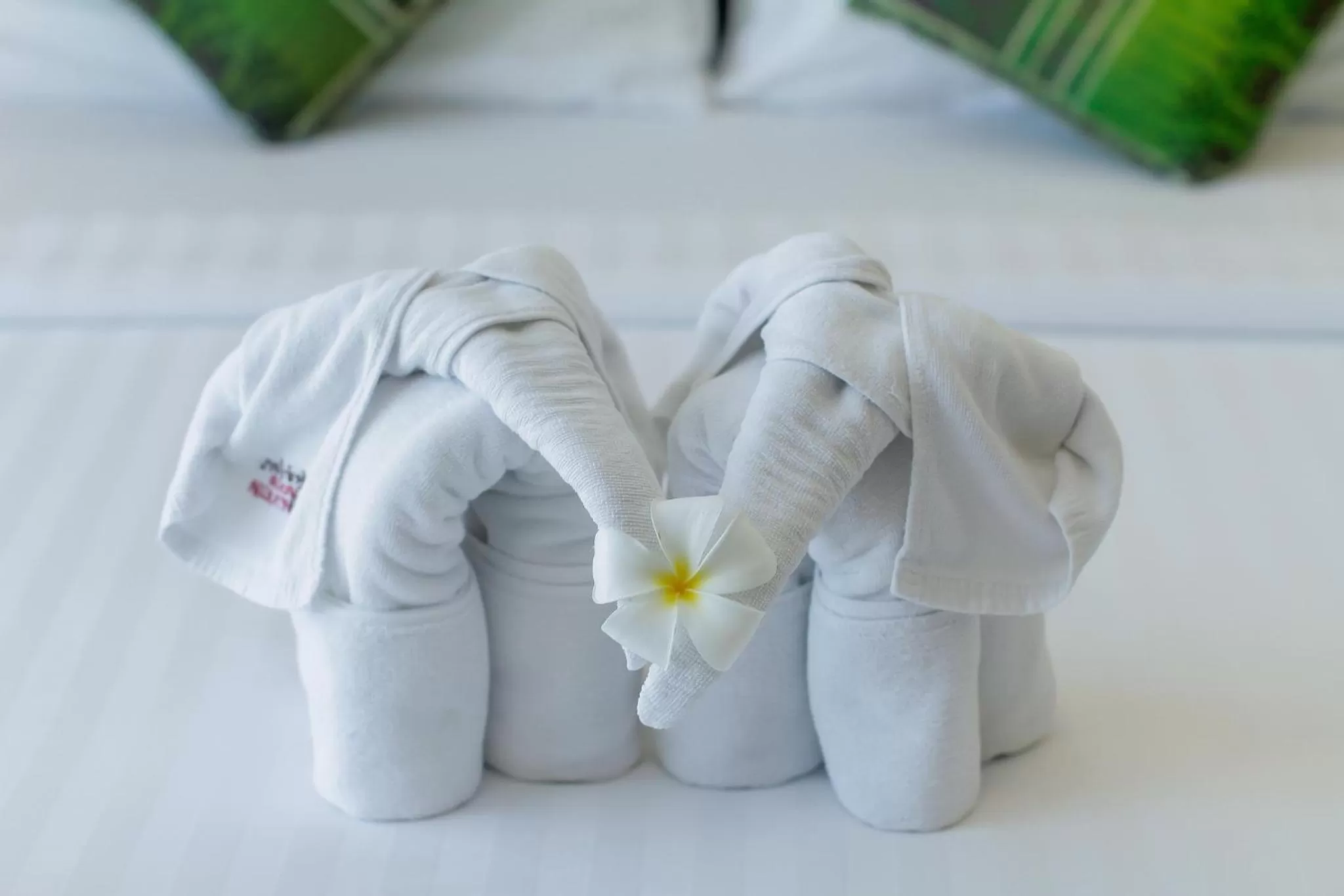 Photo of the whole room in Baan Nilrath Hotel - SHA Extra Plus