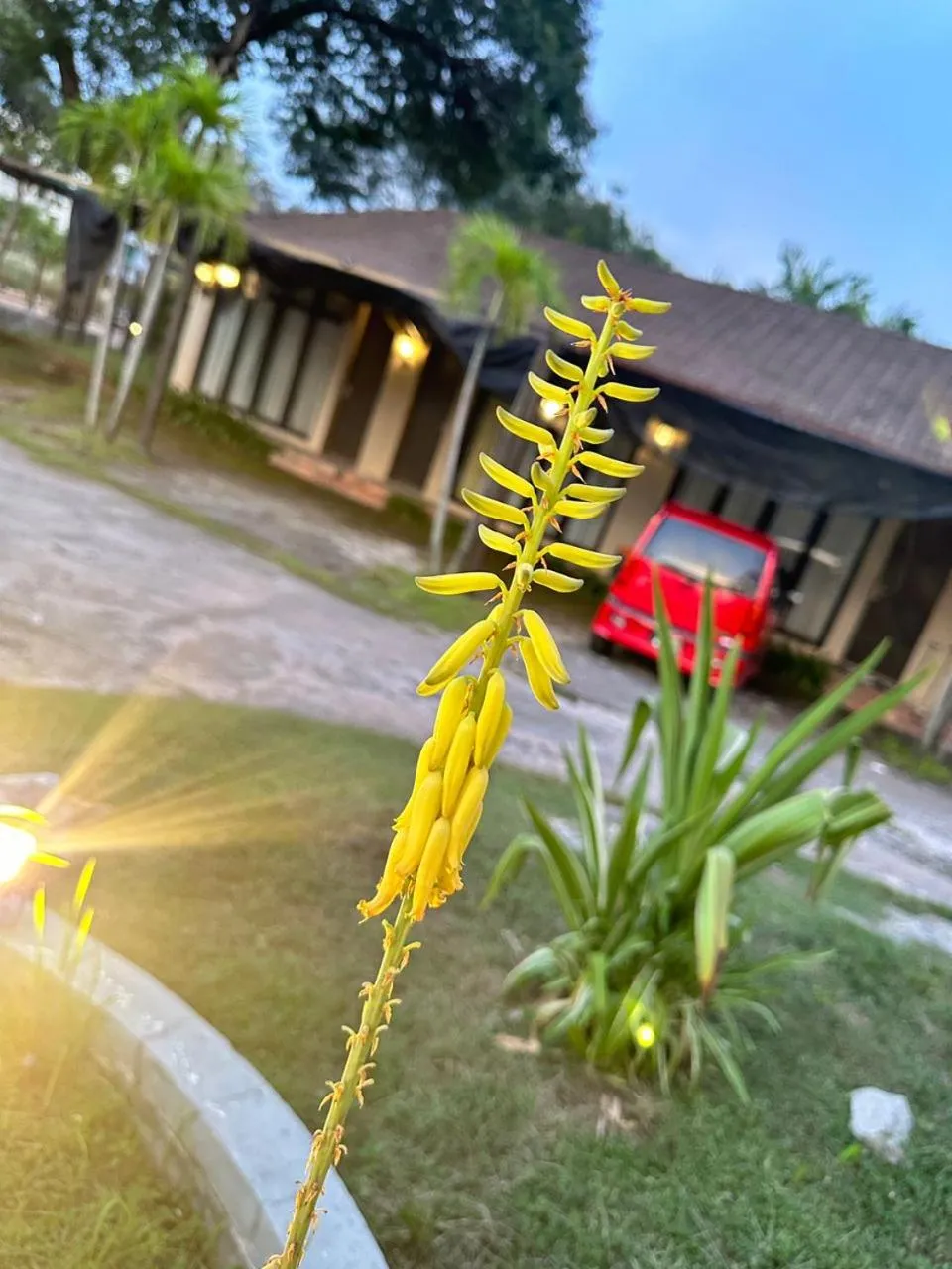 Property building in I Garden Hotel