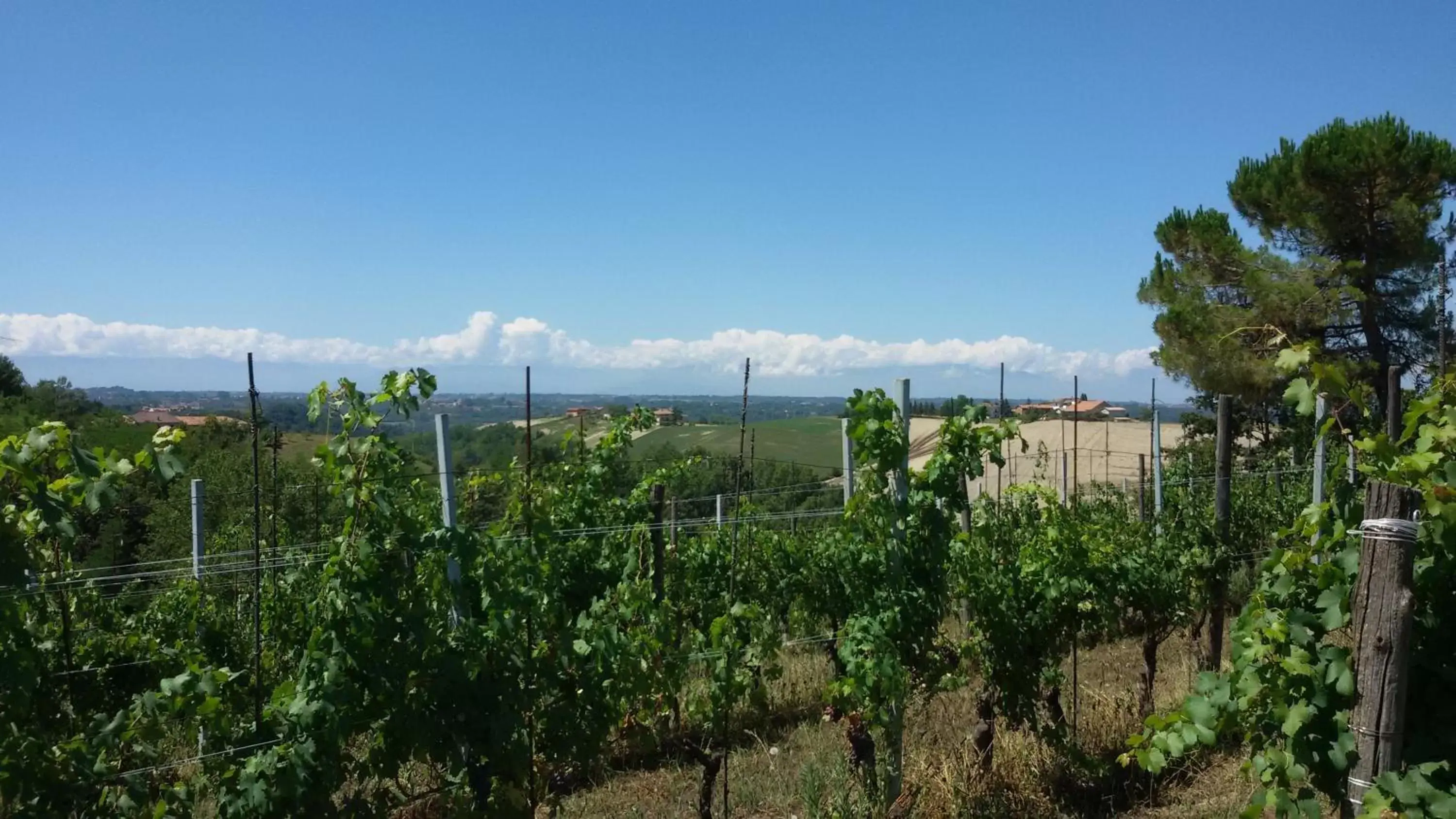 Natural landscape in Cascina Torello