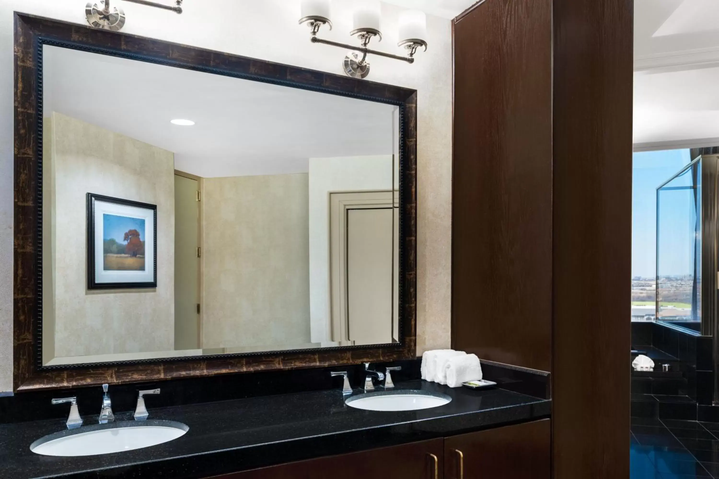 Bathroom in Renaissance Dallas North Hotel