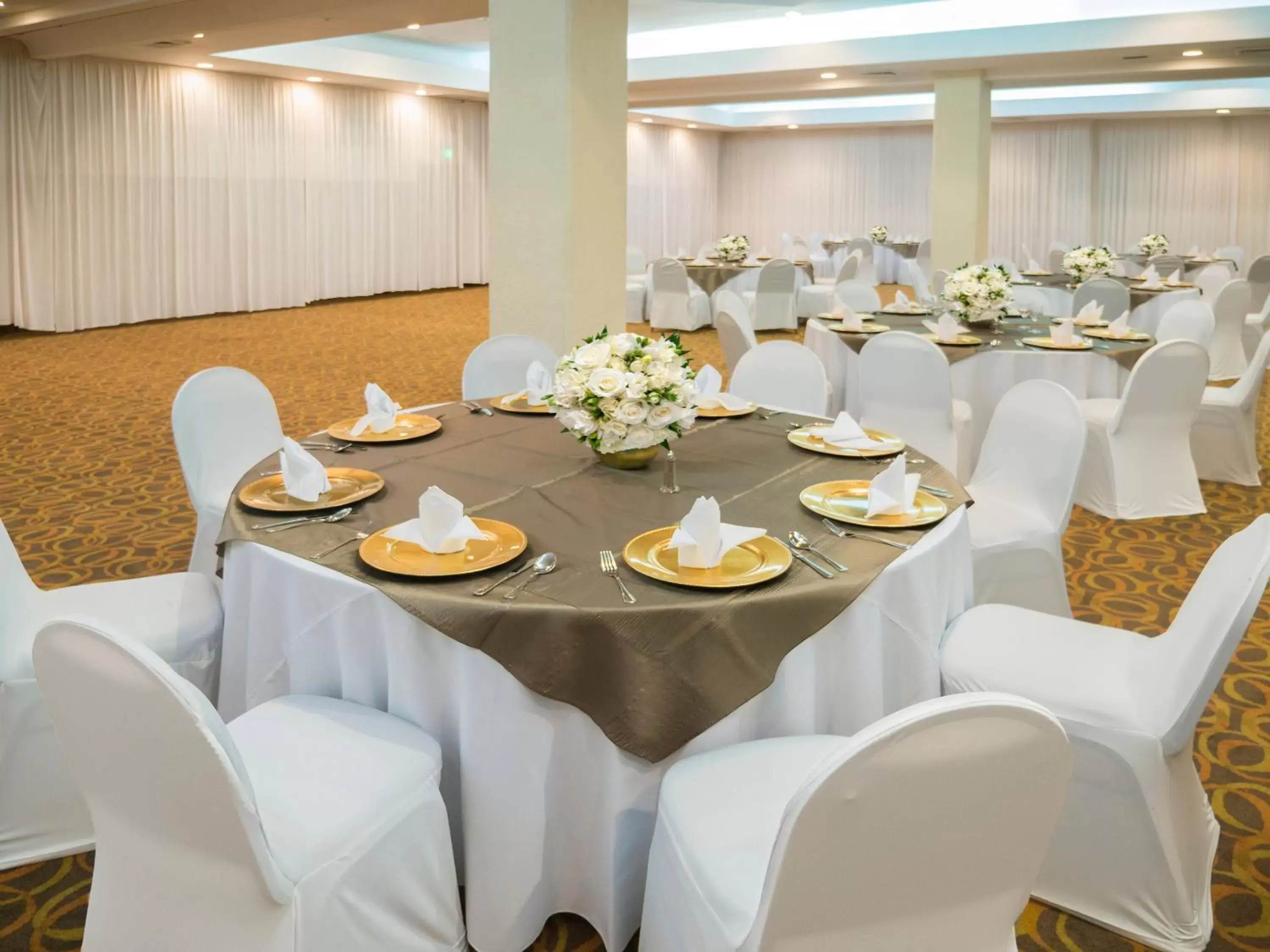 Banquet/Function facilities, Banquet Facilities in Holiday Inn Tijuana Zona Rio, an IHG Hotel