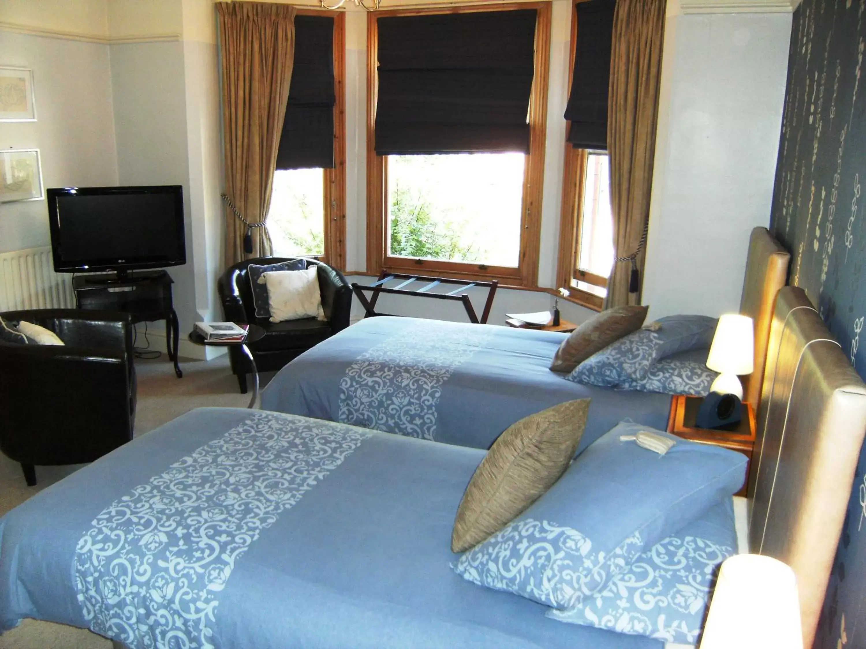 Deluxe Twin Room in Bridge House Bed & Breakfast