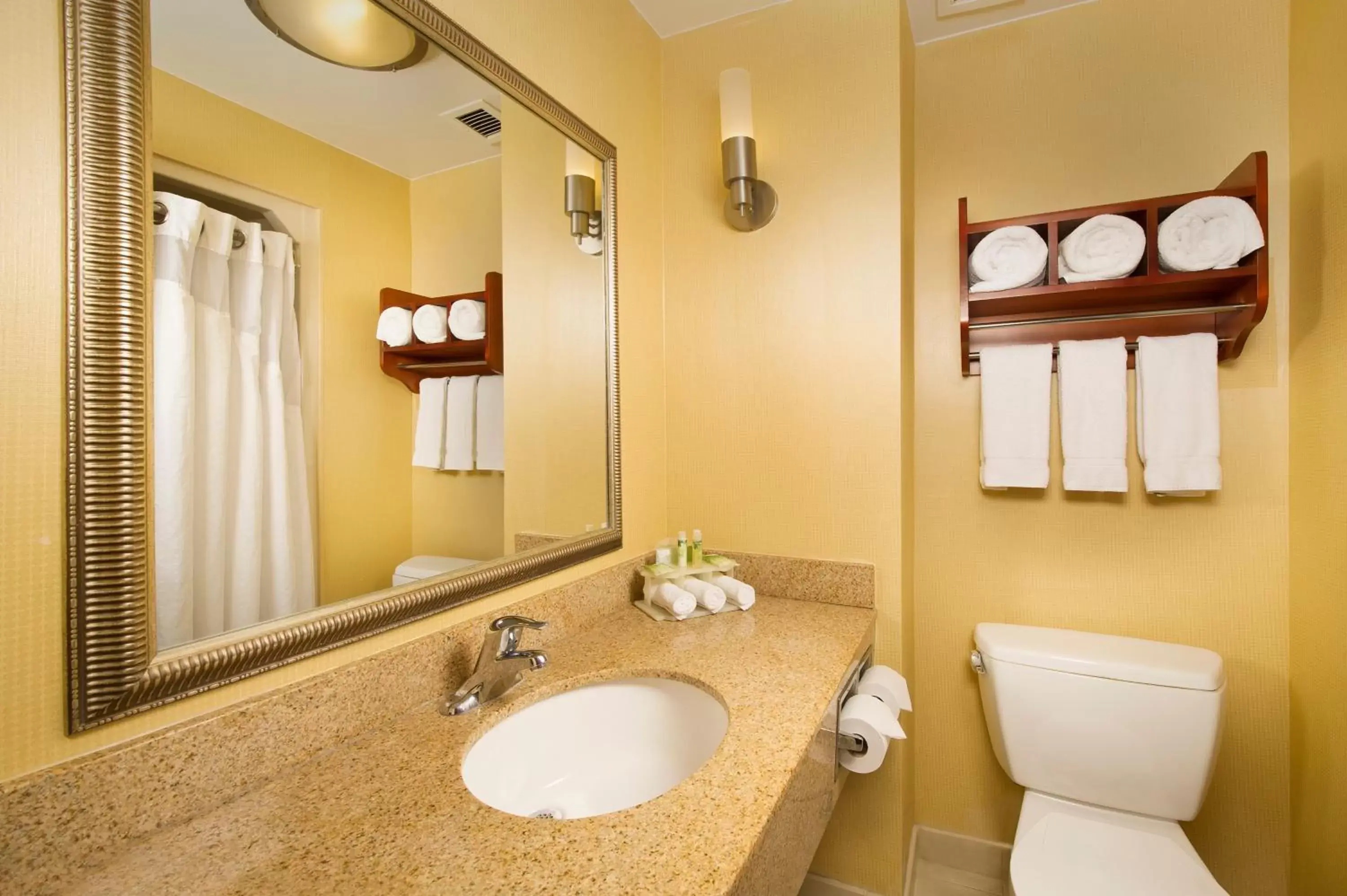 Bathroom in Holiday Inn Express Washington DC-BW Parkway, an IHG Hotel