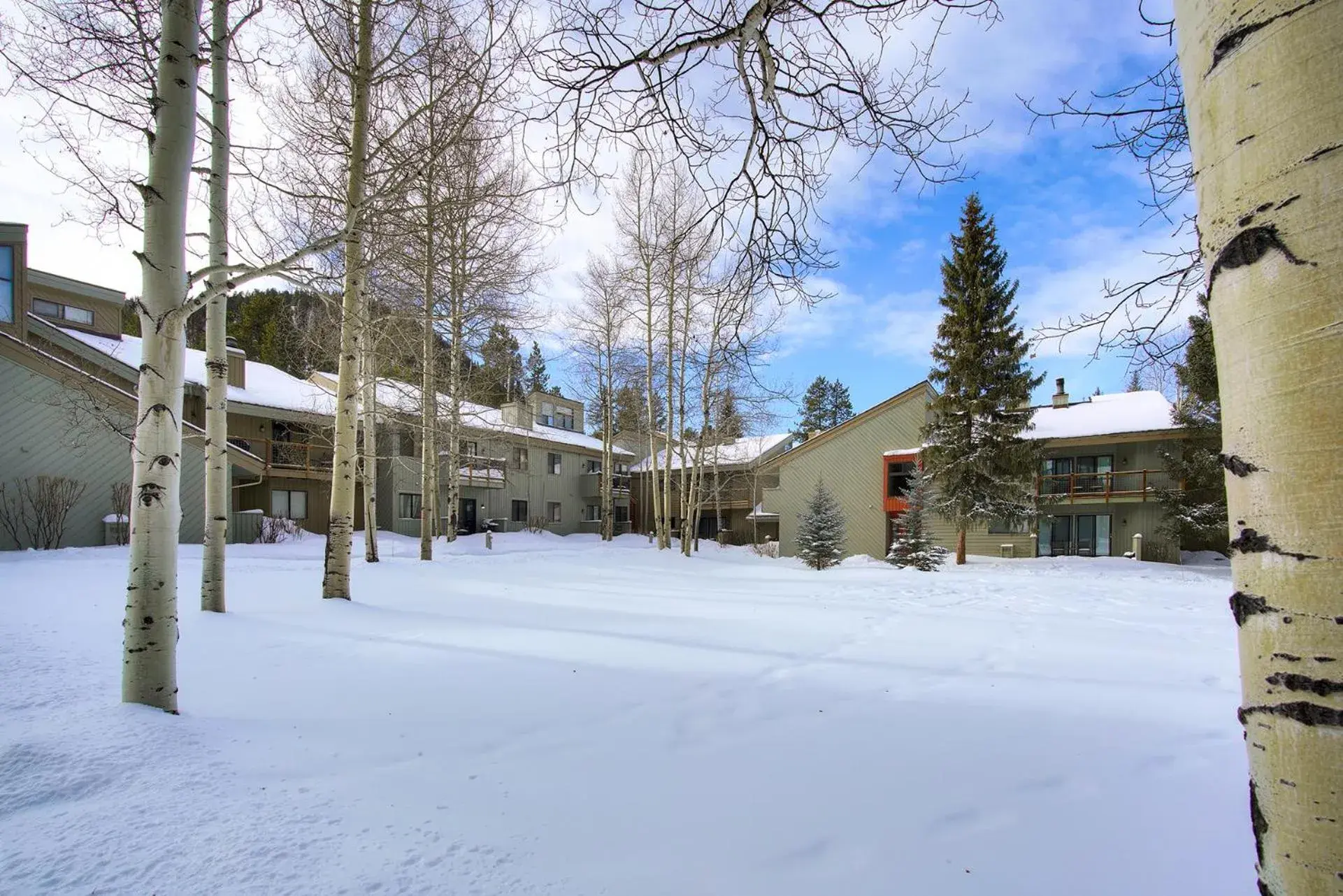 Winter in The Forest Neighborhood by Keystone Resort