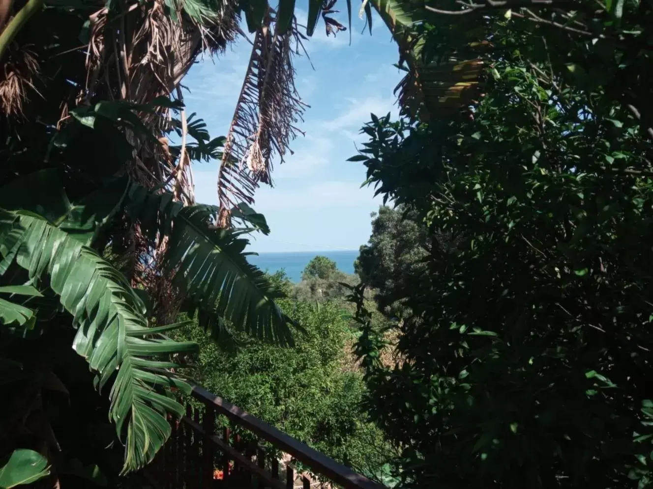 Garden in Stanza in Villa con giardino vista mare