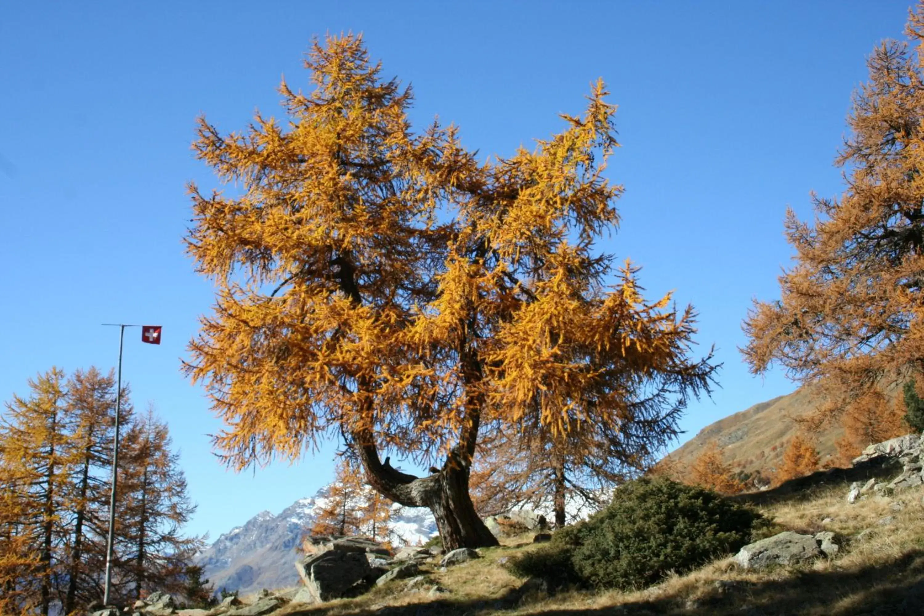 Natural landscape, Winter in Albergo Croce Bianca