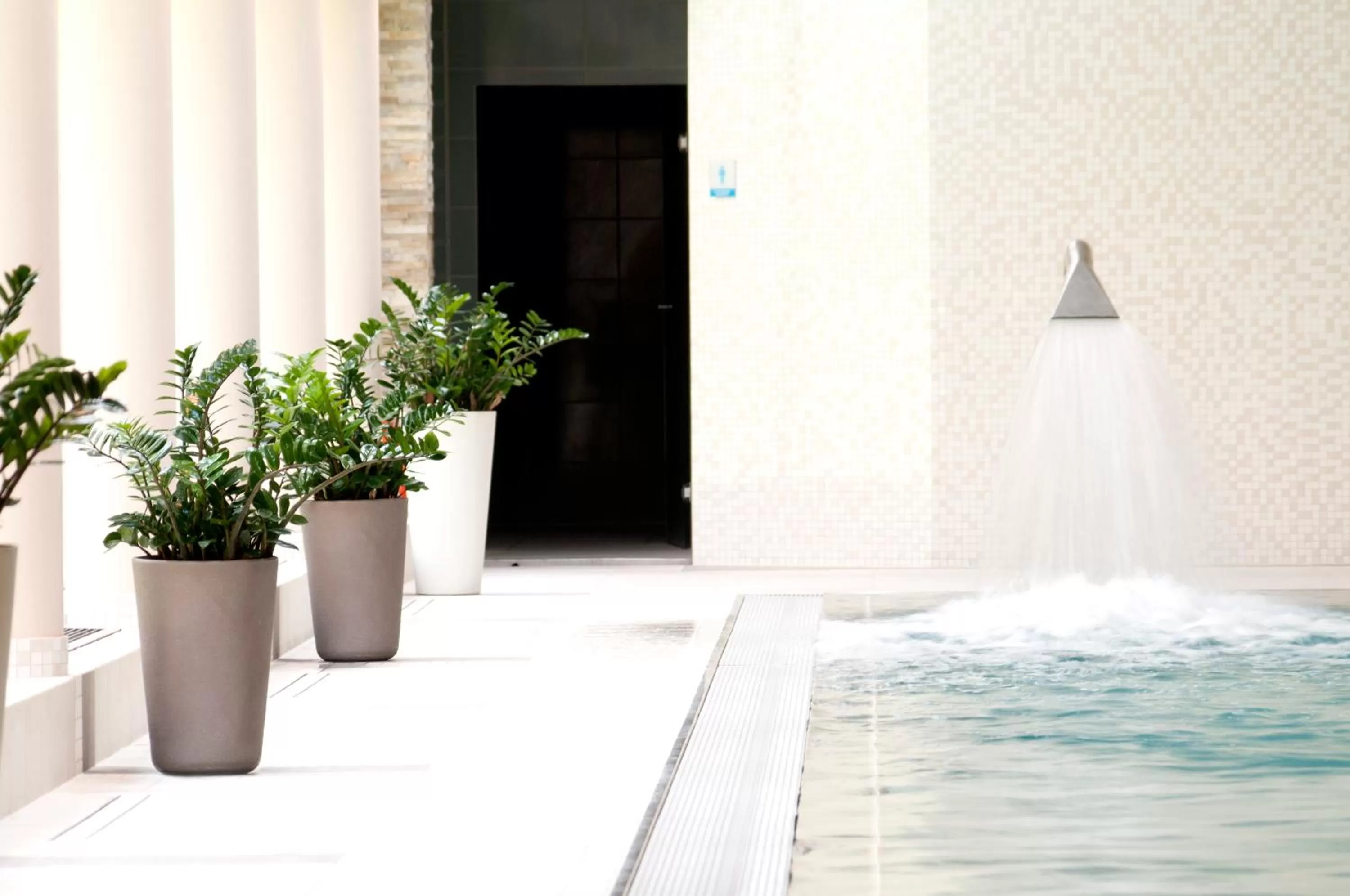 Swimming pool in Columna Medica