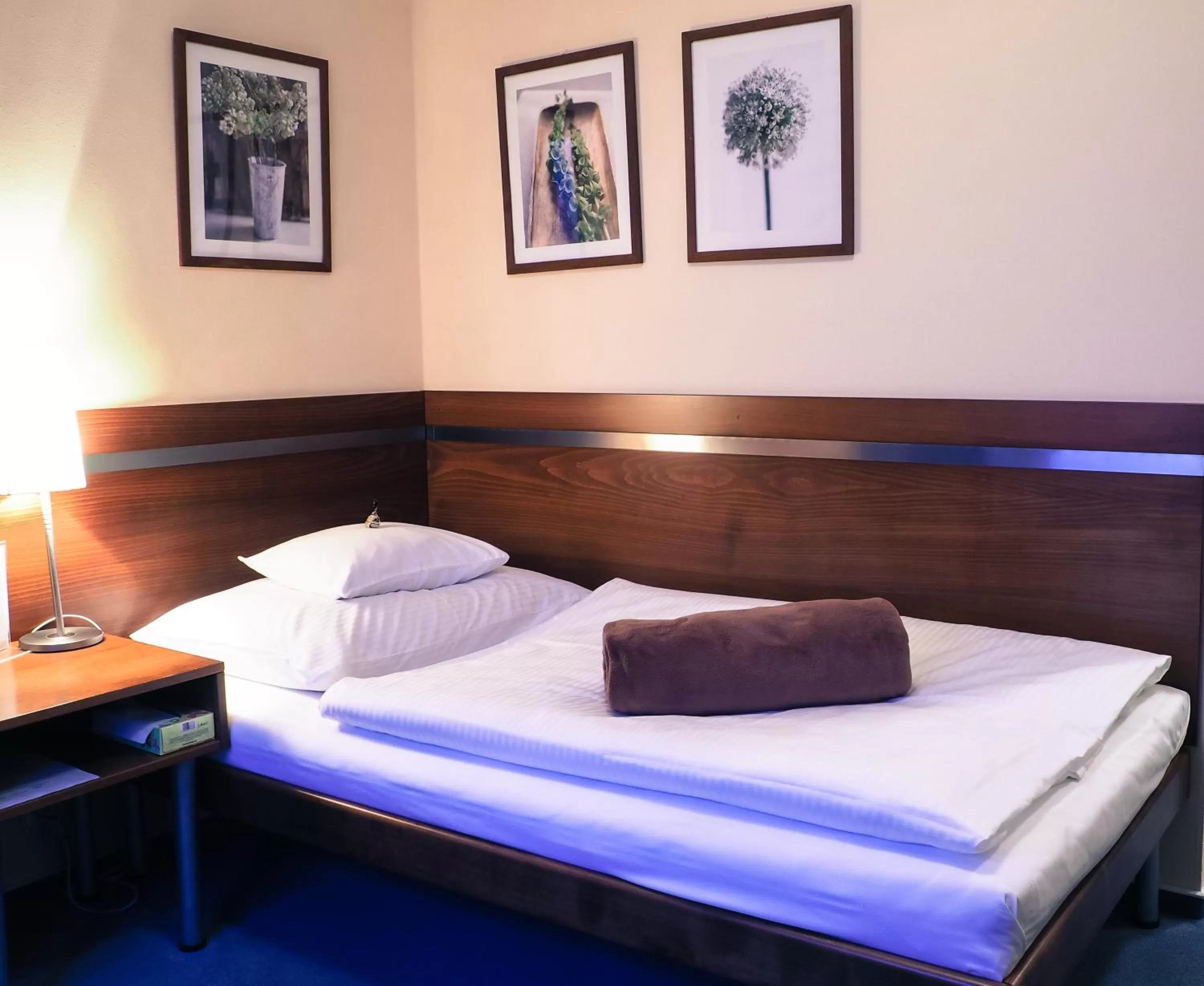 Bed in Hotel Cvilín
