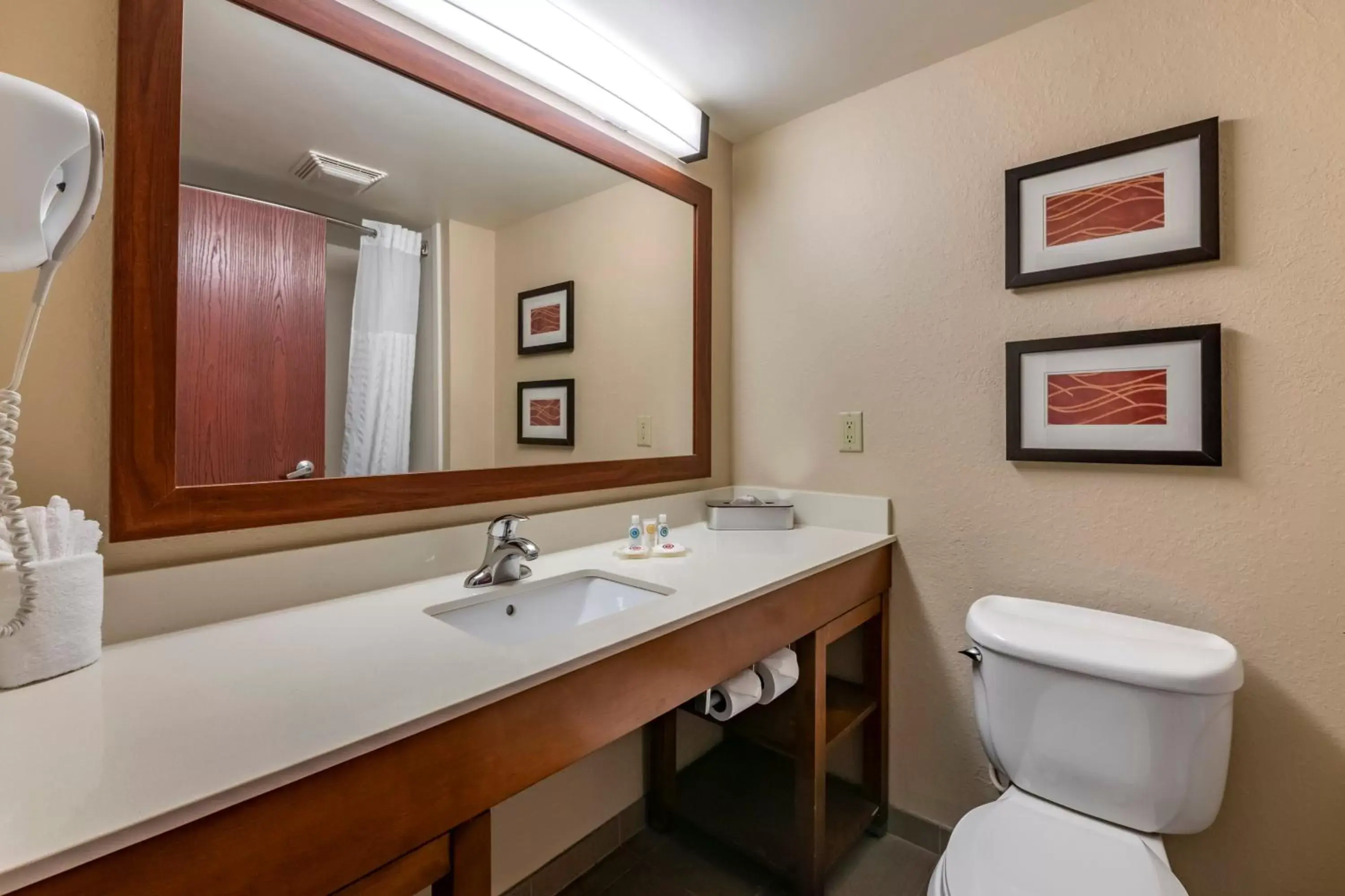Bathroom in Comfort Inn & Suites Orlando North