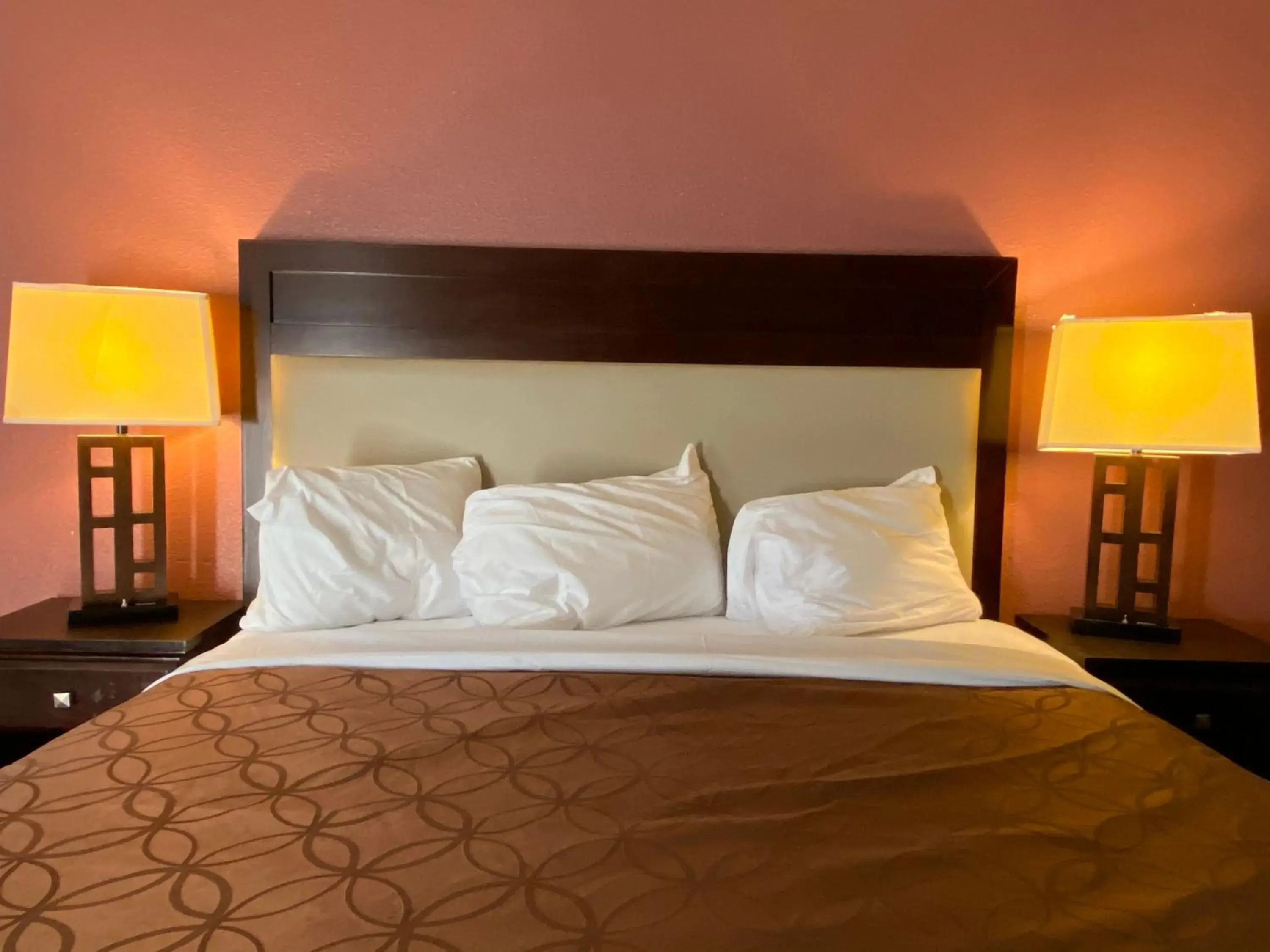 Bed in Express Inn Bed in Express Inn
