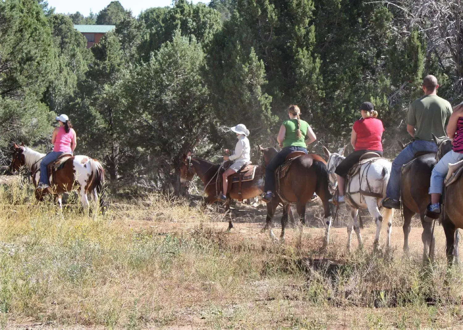 Day, Horseback Riding in Zion Ponderosa Ranch Resort