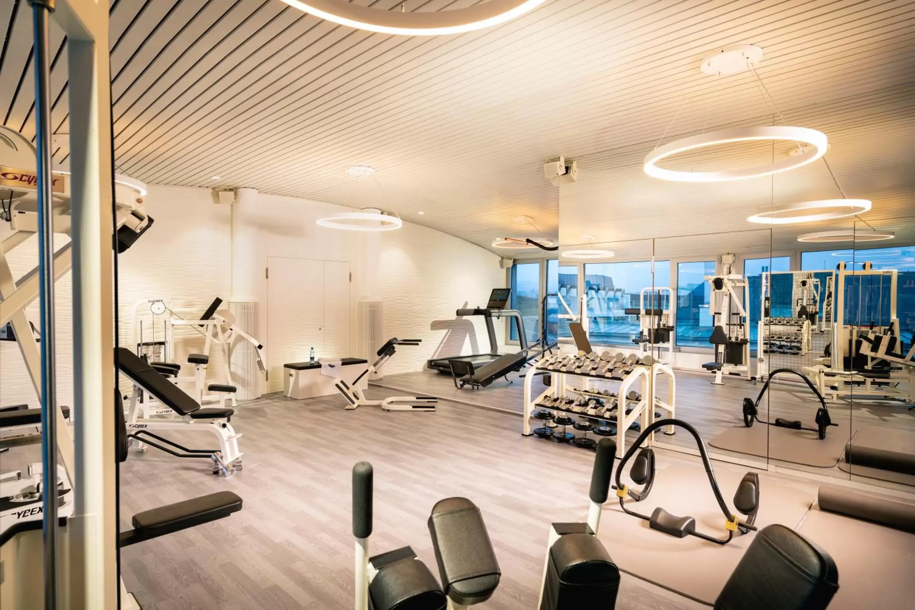 Fitness centre/facilities, Fitness Center/Facilities in Baur au Lac