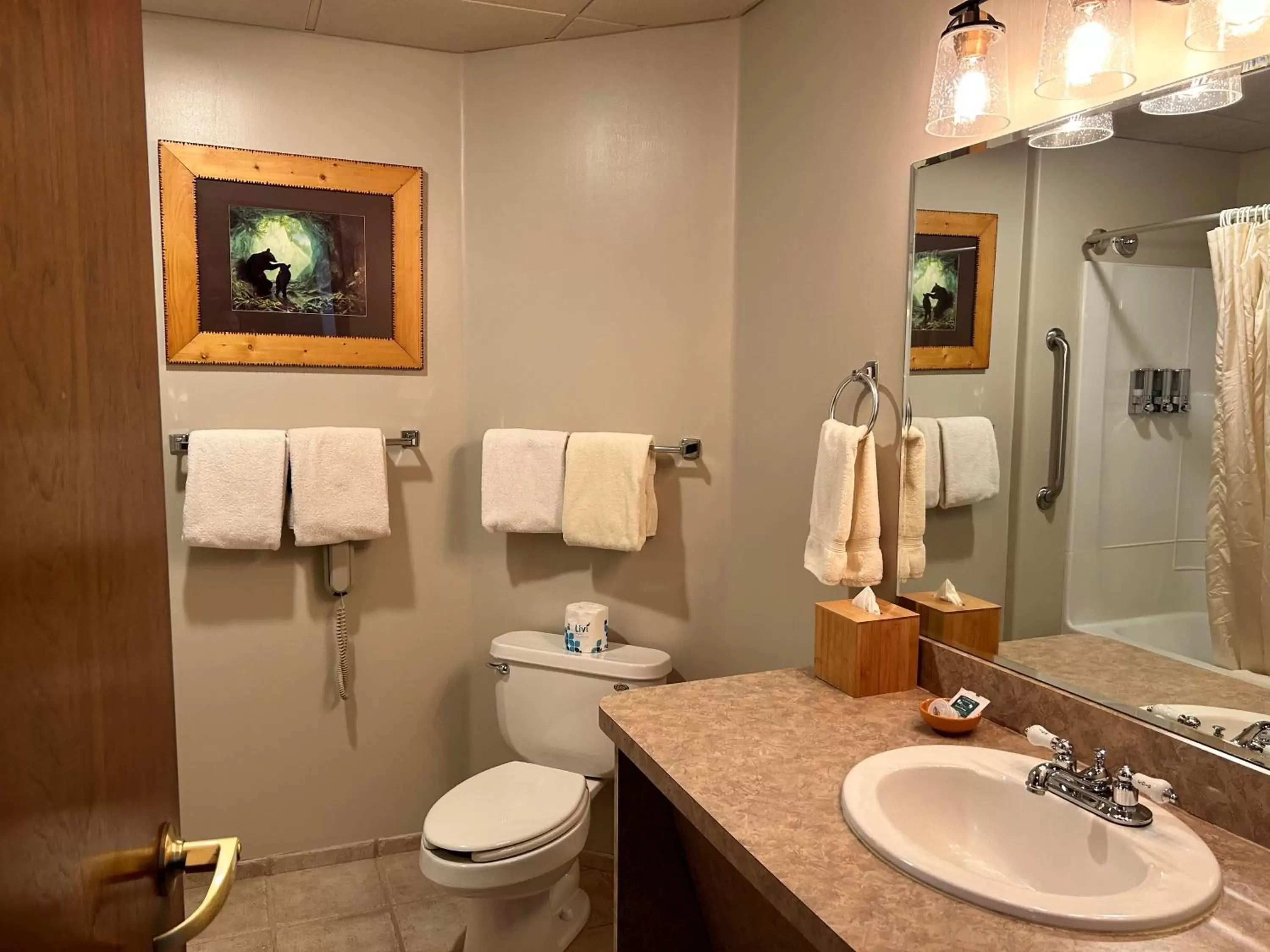 Shower, Bathroom in The Common Man Inn, Spa & Lodge