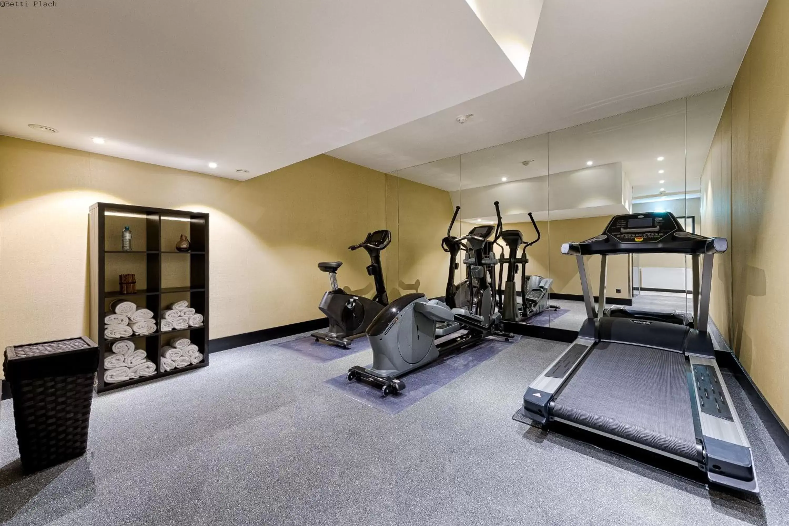 Fitness centre/facilities in Mercure Hotel Raphael Wien Fitness centre/facilities in Mercure Hotel Raphael Wien