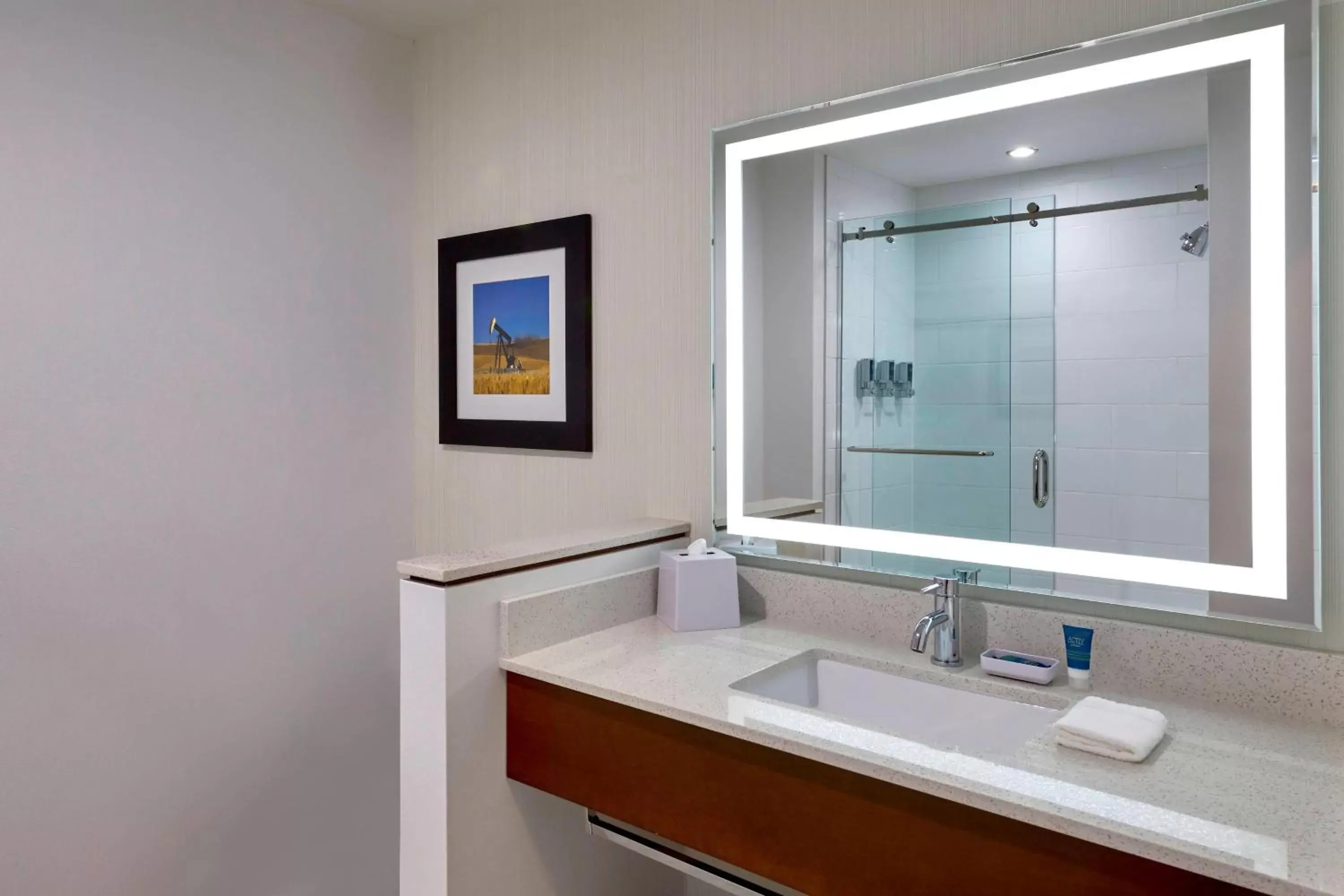 Bathroom in Four Points by Sheraton Grande Prairie