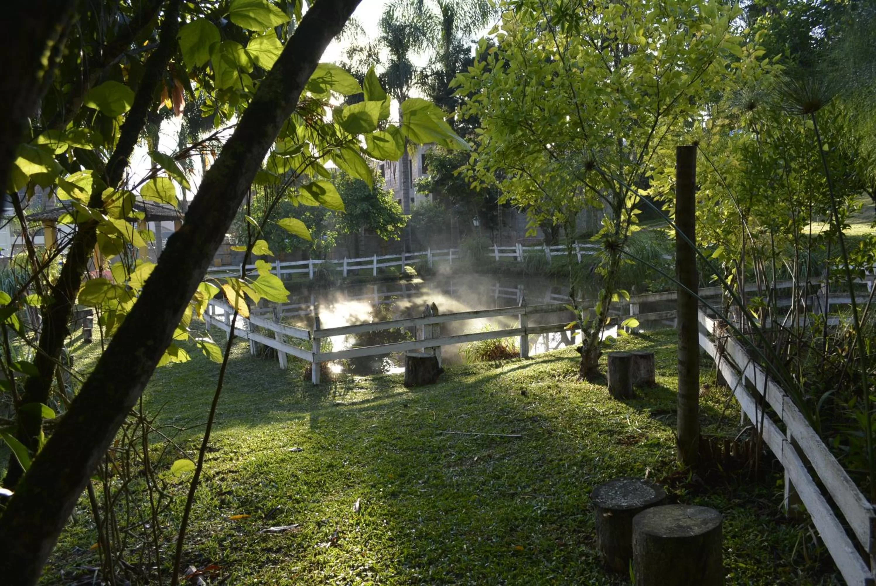 Garden view in Vila Chico