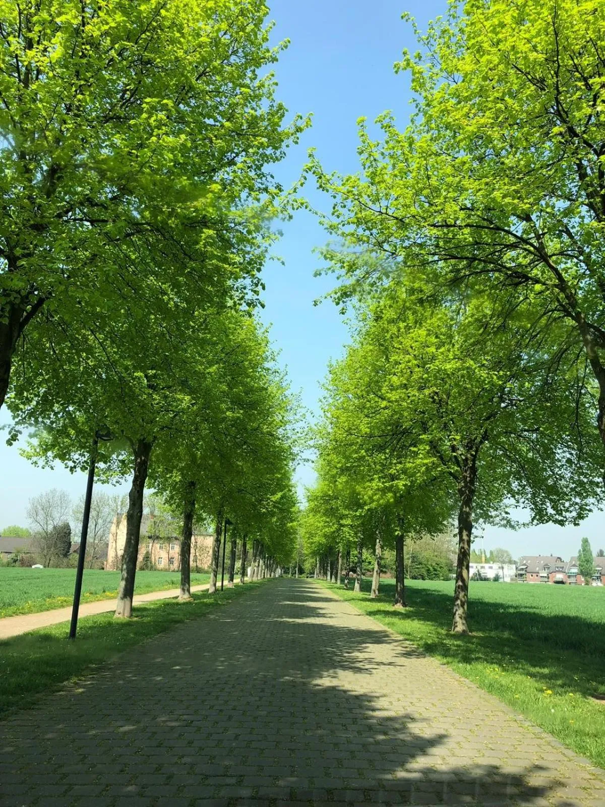 Natural landscape in Gut Dyckhof