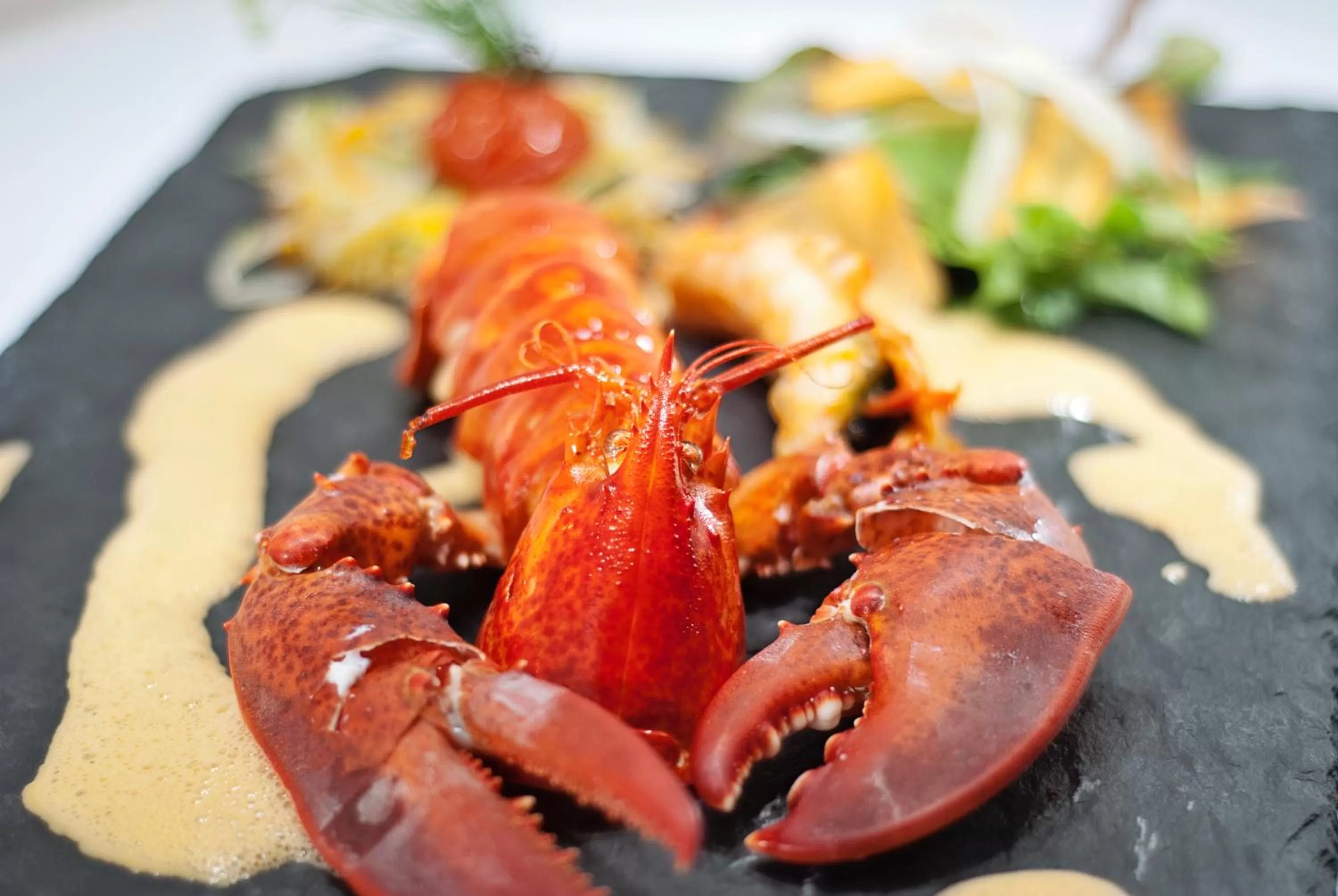 Dinner in Hôtel Ile de Ré