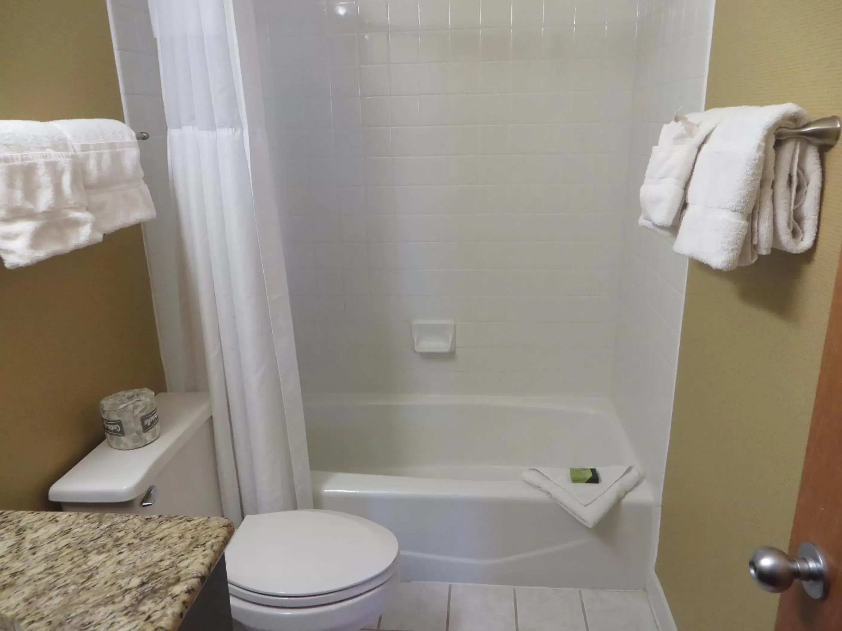 Bathroom in Ivy Court Inn and Suites