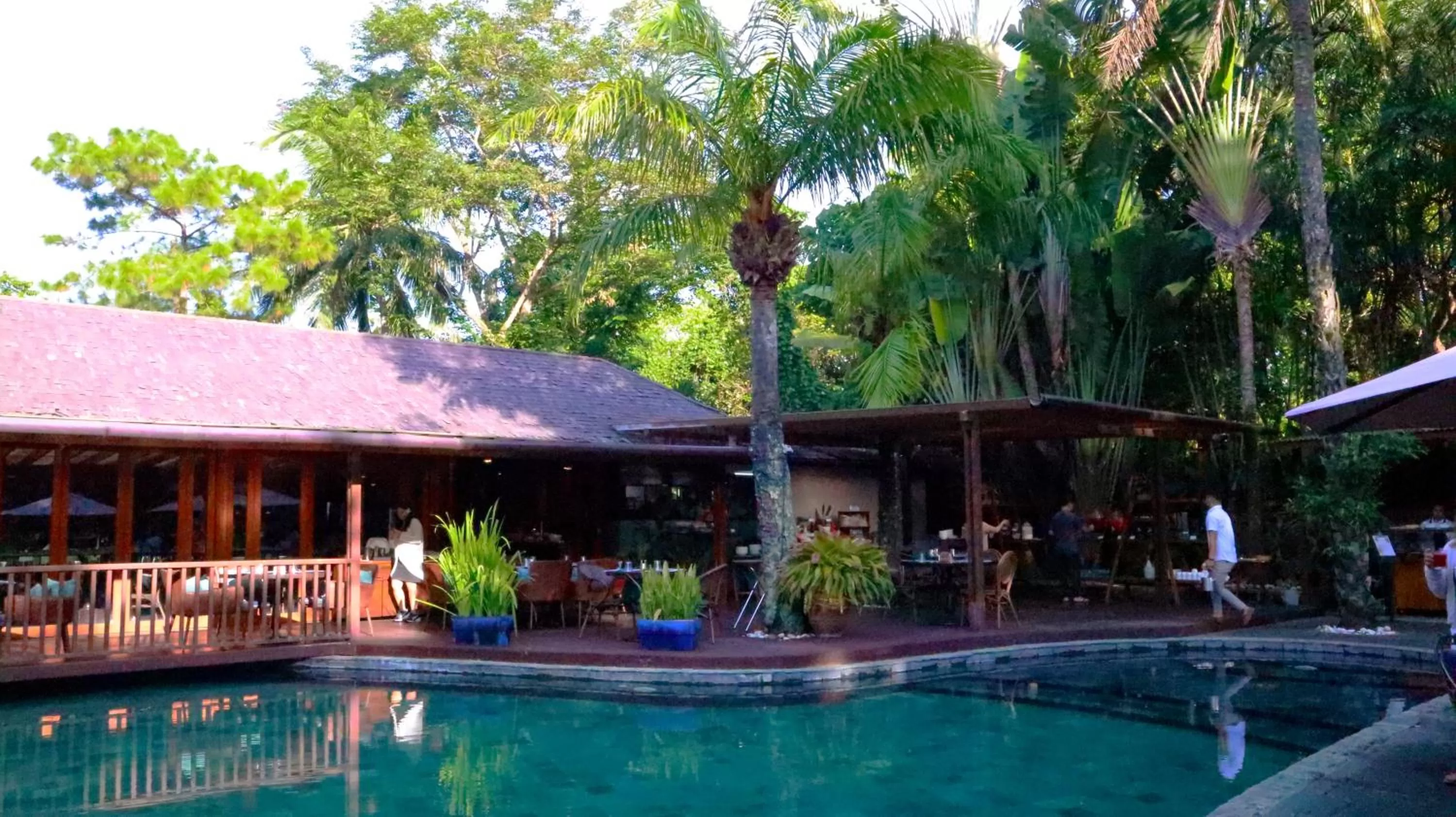 Swimming Pool in The Farm at San Benito