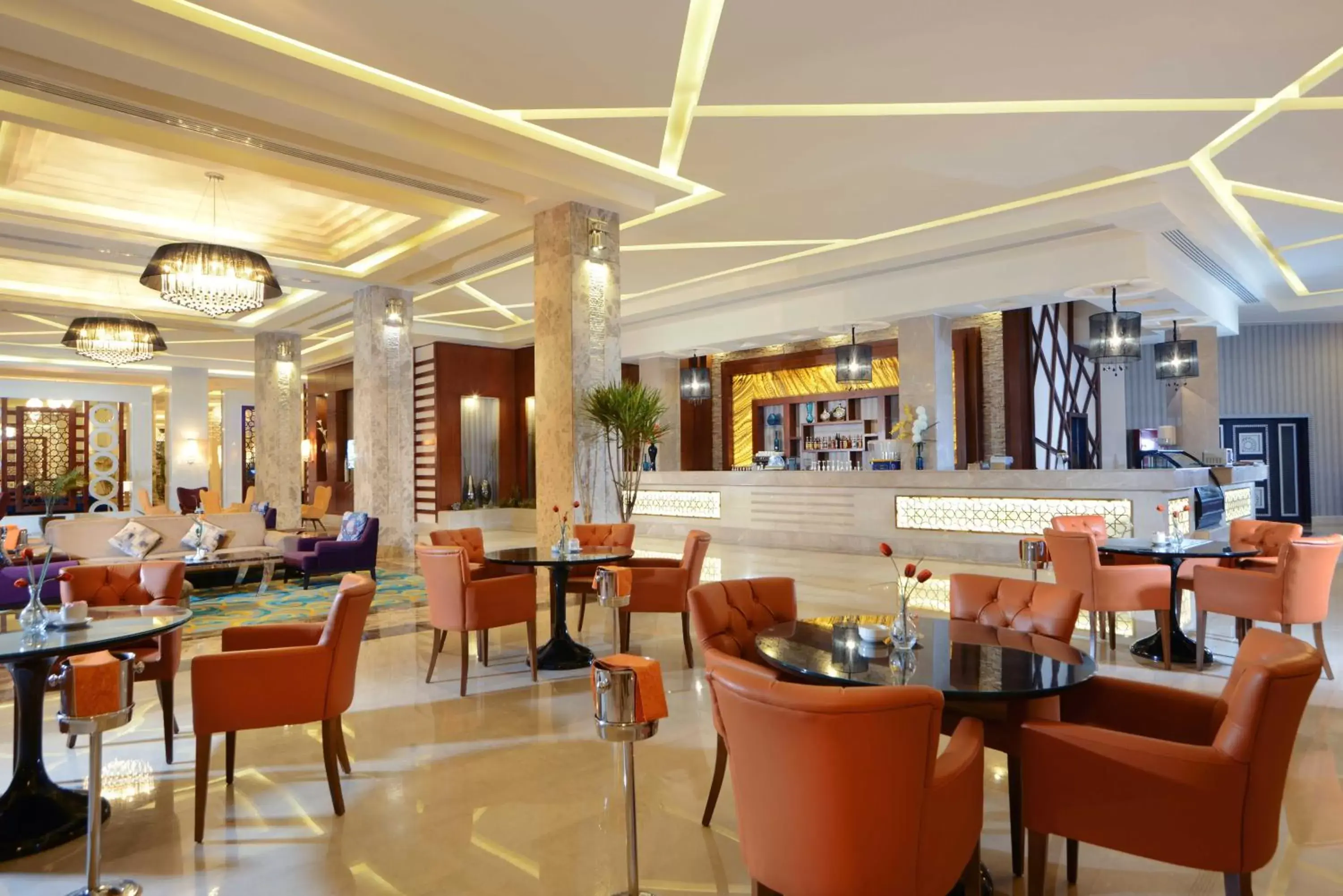 Lounge or bar, Restaurant/Places to Eat in Pickalbatros White Beach Resort - Hurghada