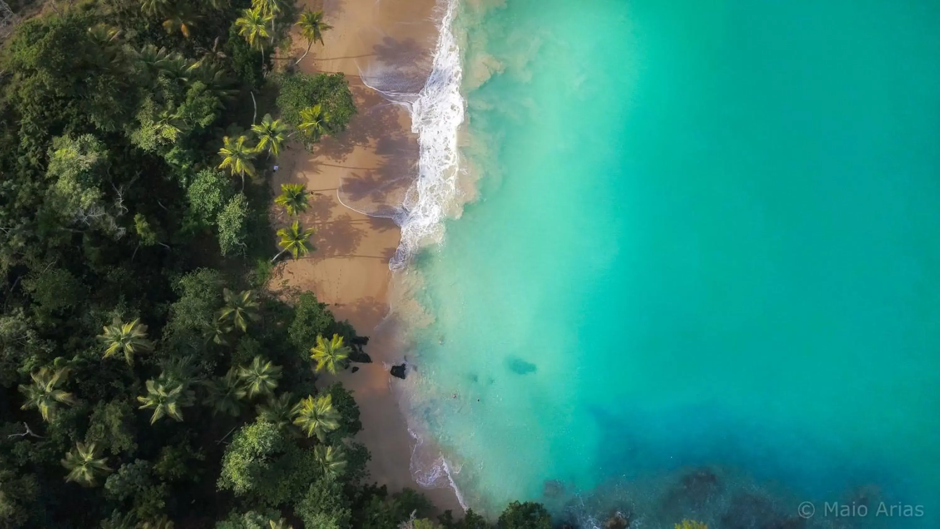 Beach, Bird's-eye View in El Encuentro Surf Lodge