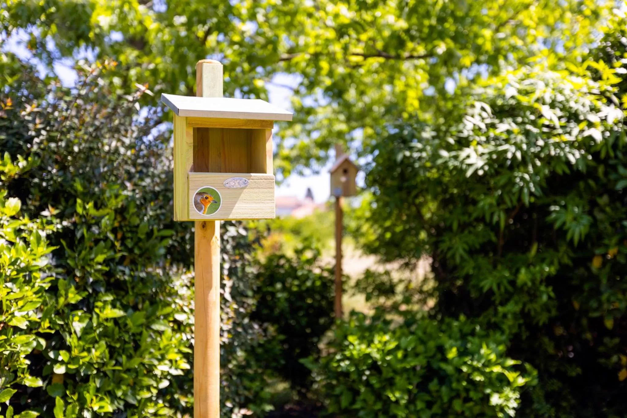 Garden in greet hôtel Angoulême
