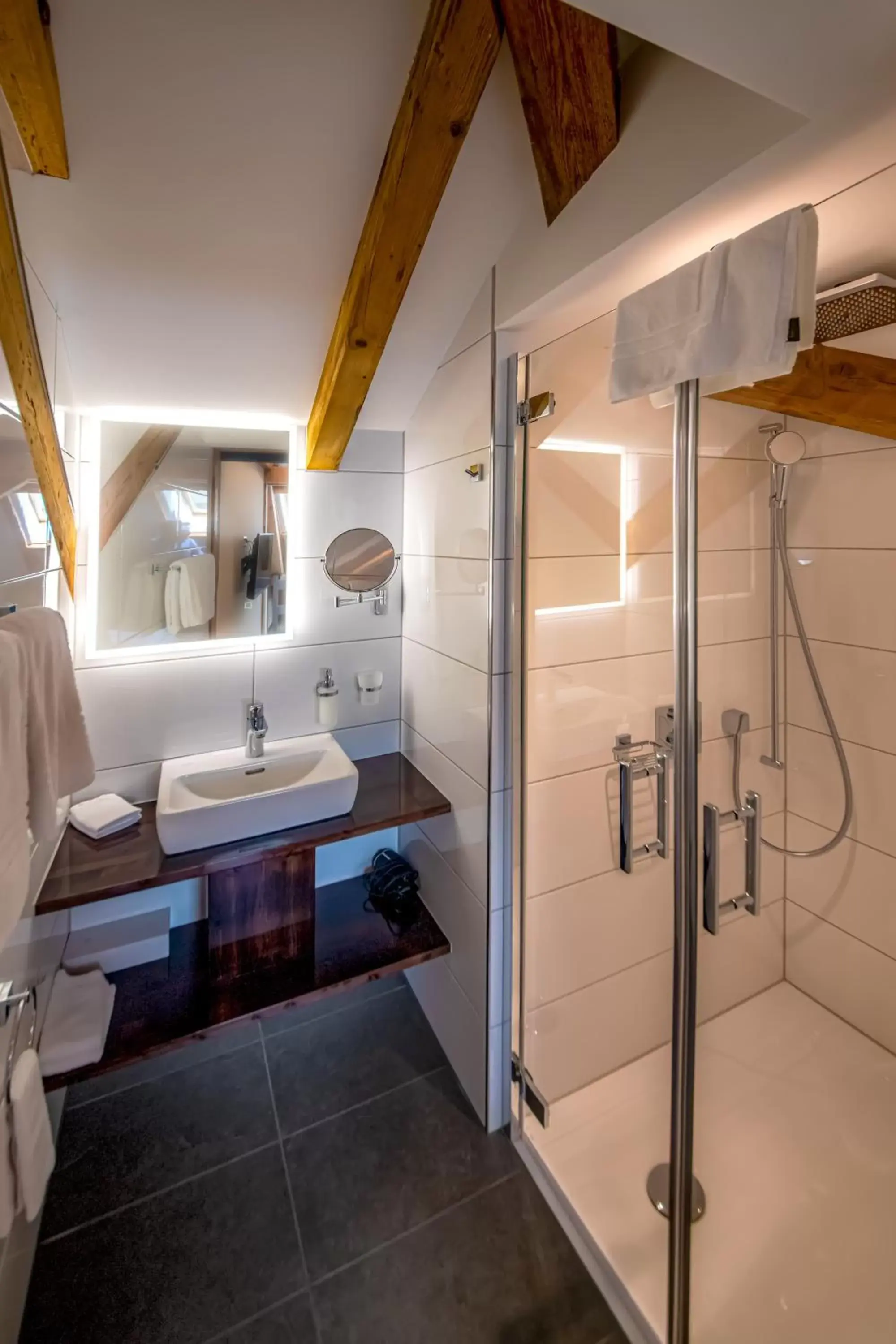Shower, Bathroom in Swiss Inn & Apartments