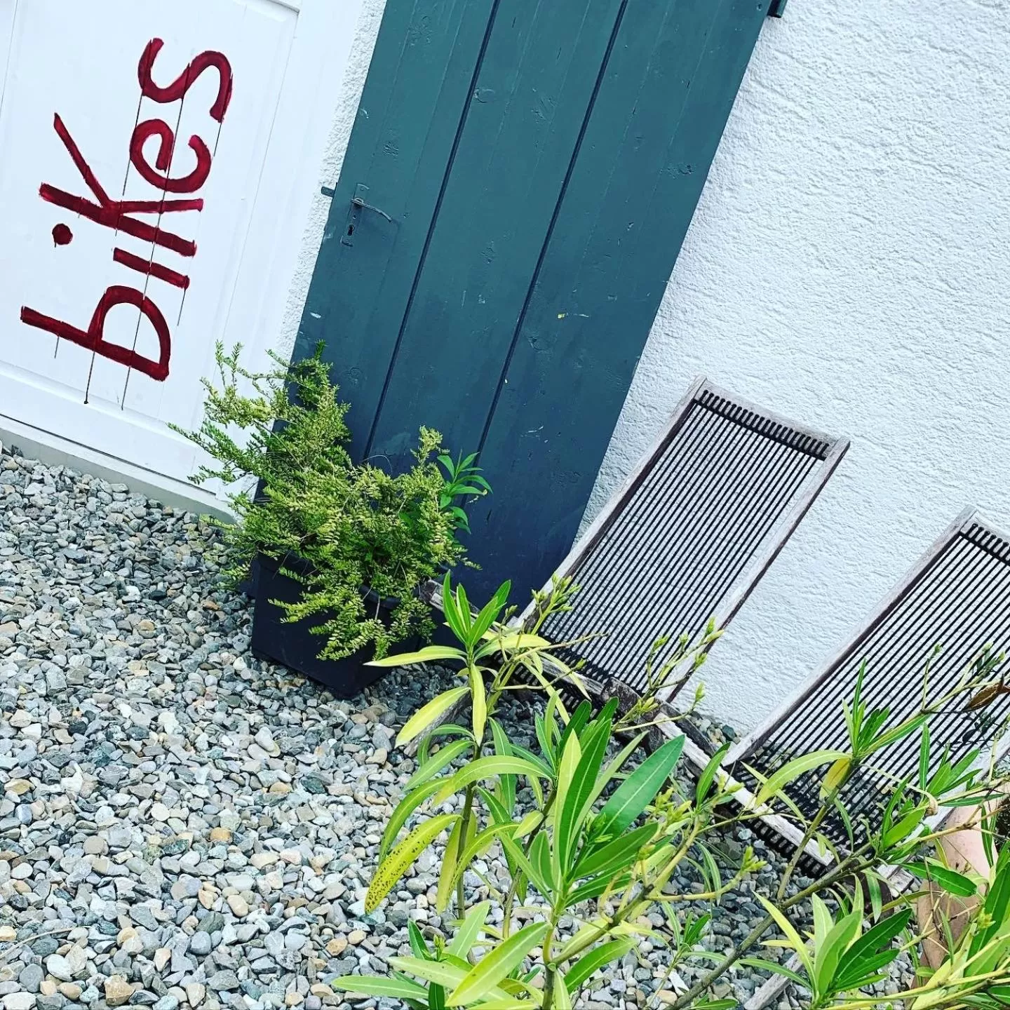 Garden view in Hacienda Rooms