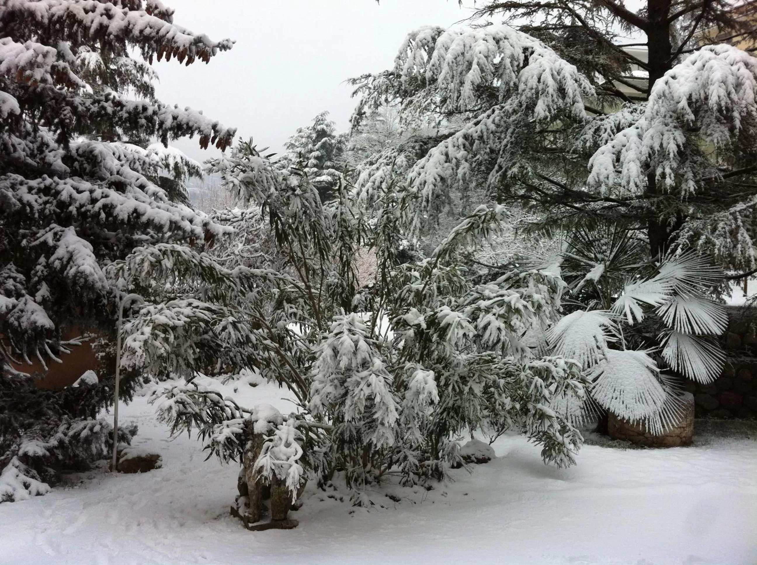 Winter in Vista Castello