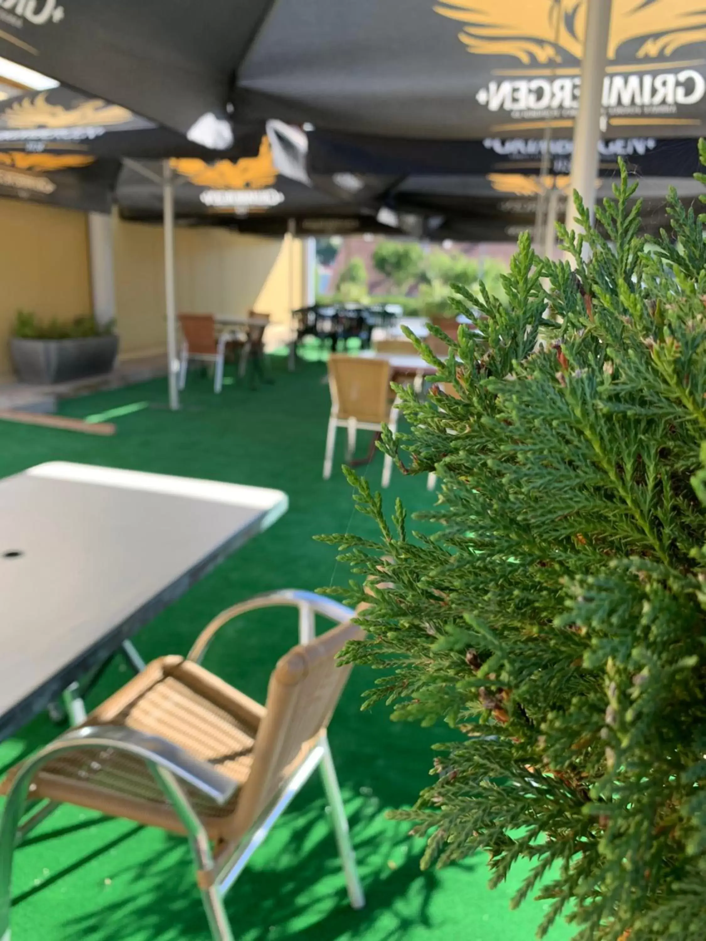 Patio in Hotel Restaurant du Bowling de Millau