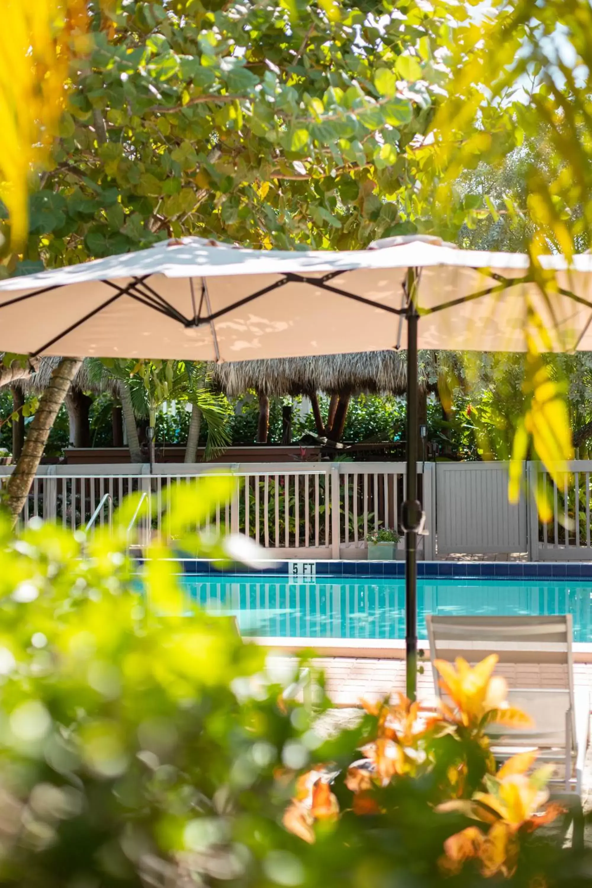 Swimming Pool in Crane's Beach House Boutique Hotel & Luxury Villas