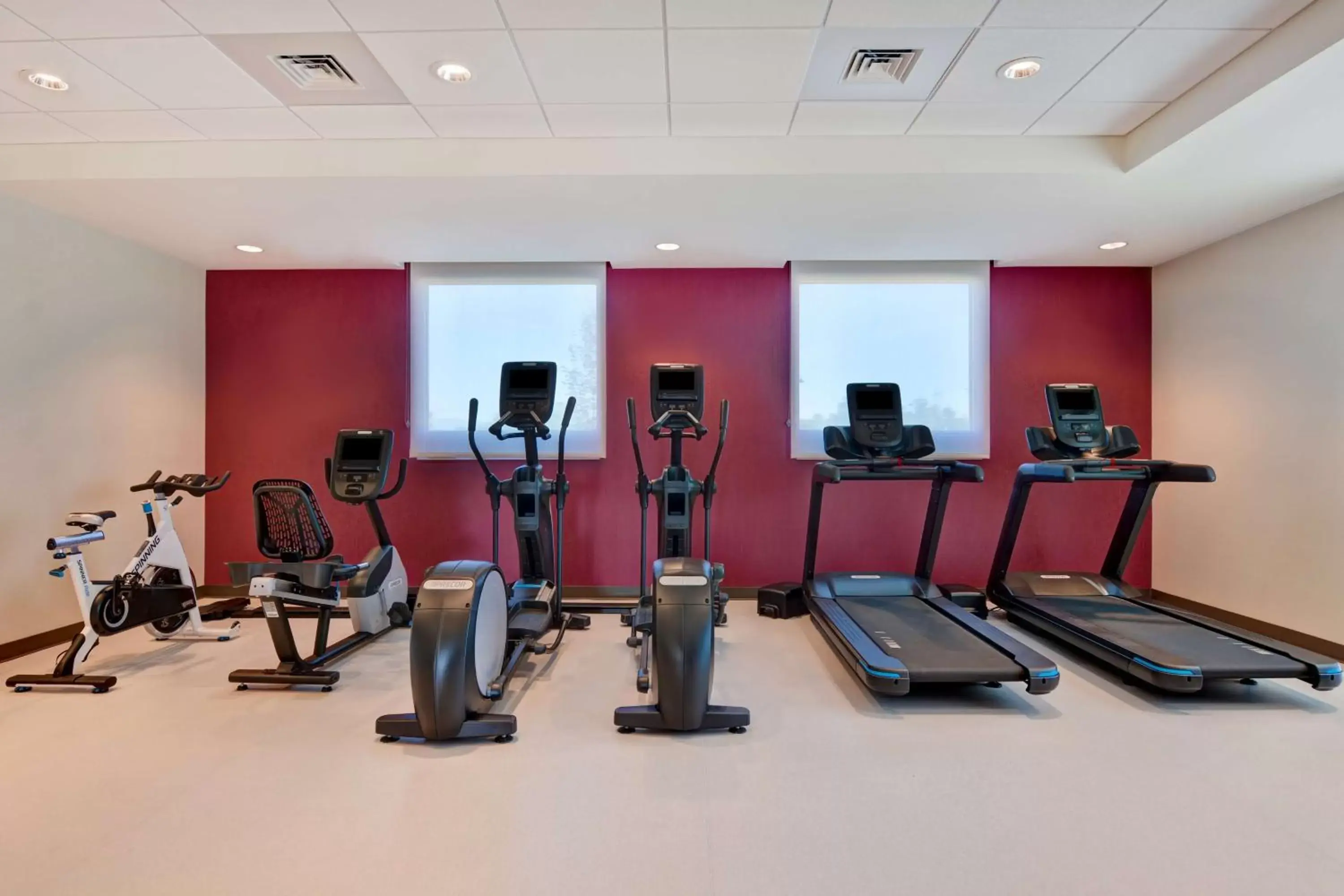 Fitness centre/facilities, Fitness Center/Facilities in Home2 Suites Williston Burlington, Vt