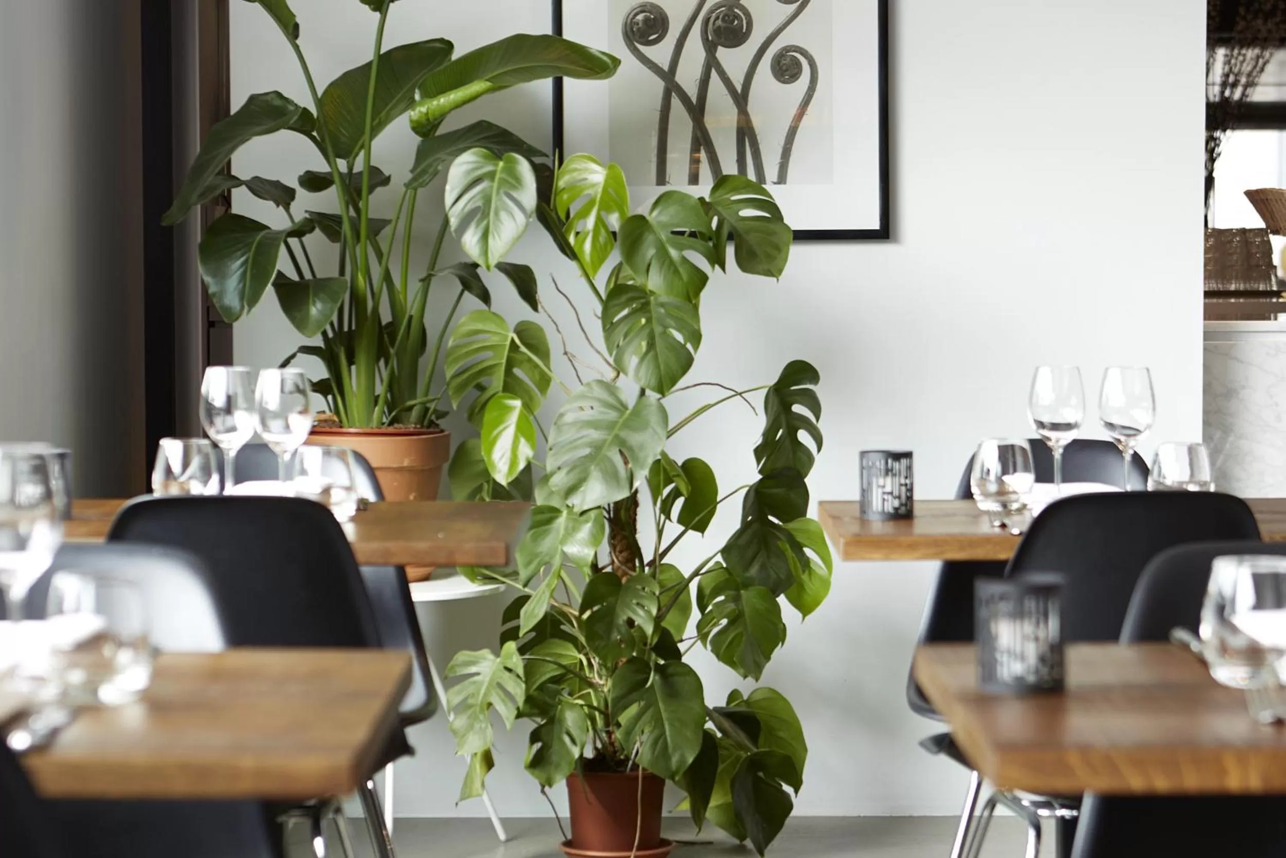 Restaurant/places to eat in Mooirivier