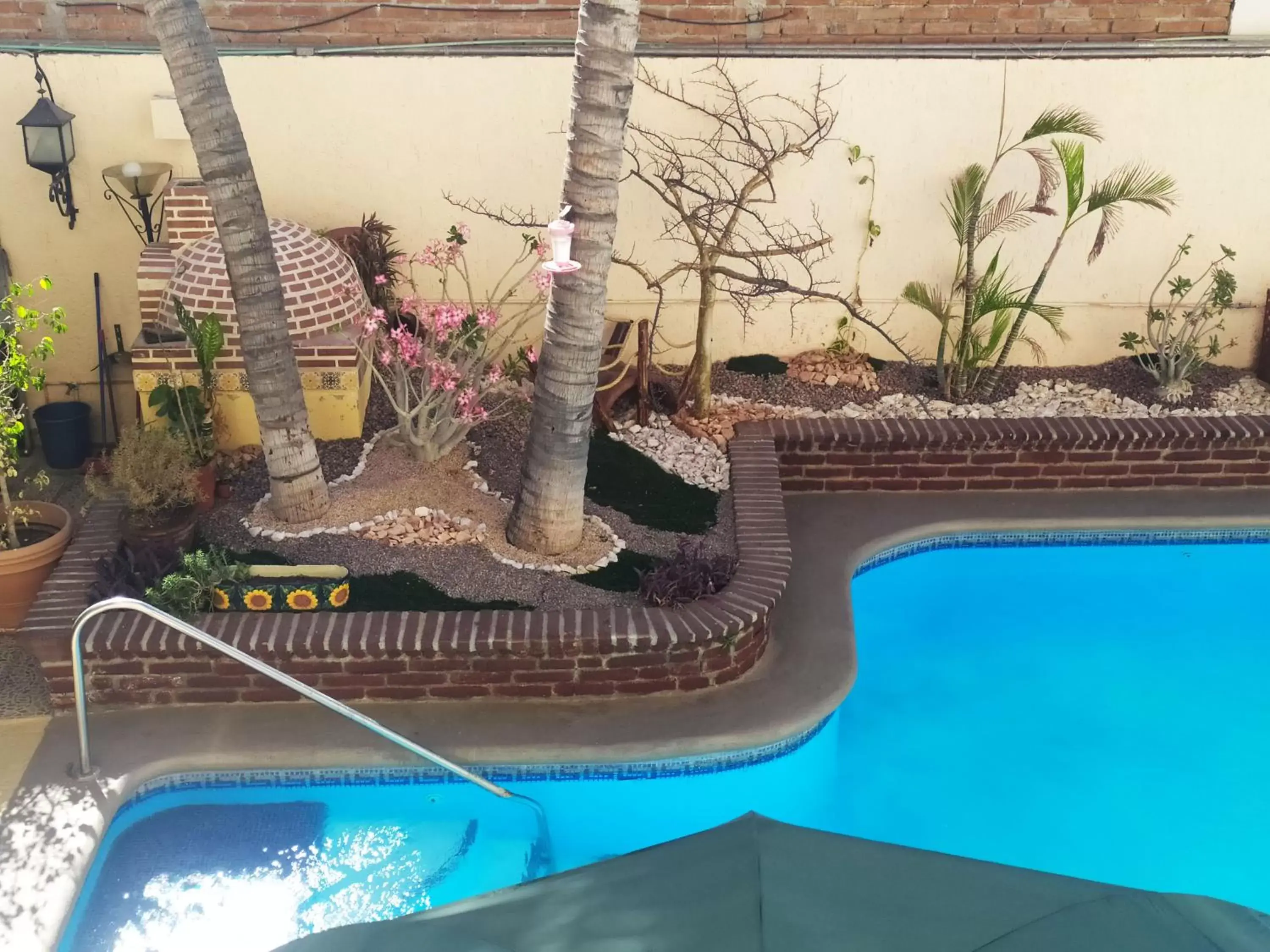 Swimming Pool in Las Gaviotas Condo-Hotel La Paz BCS