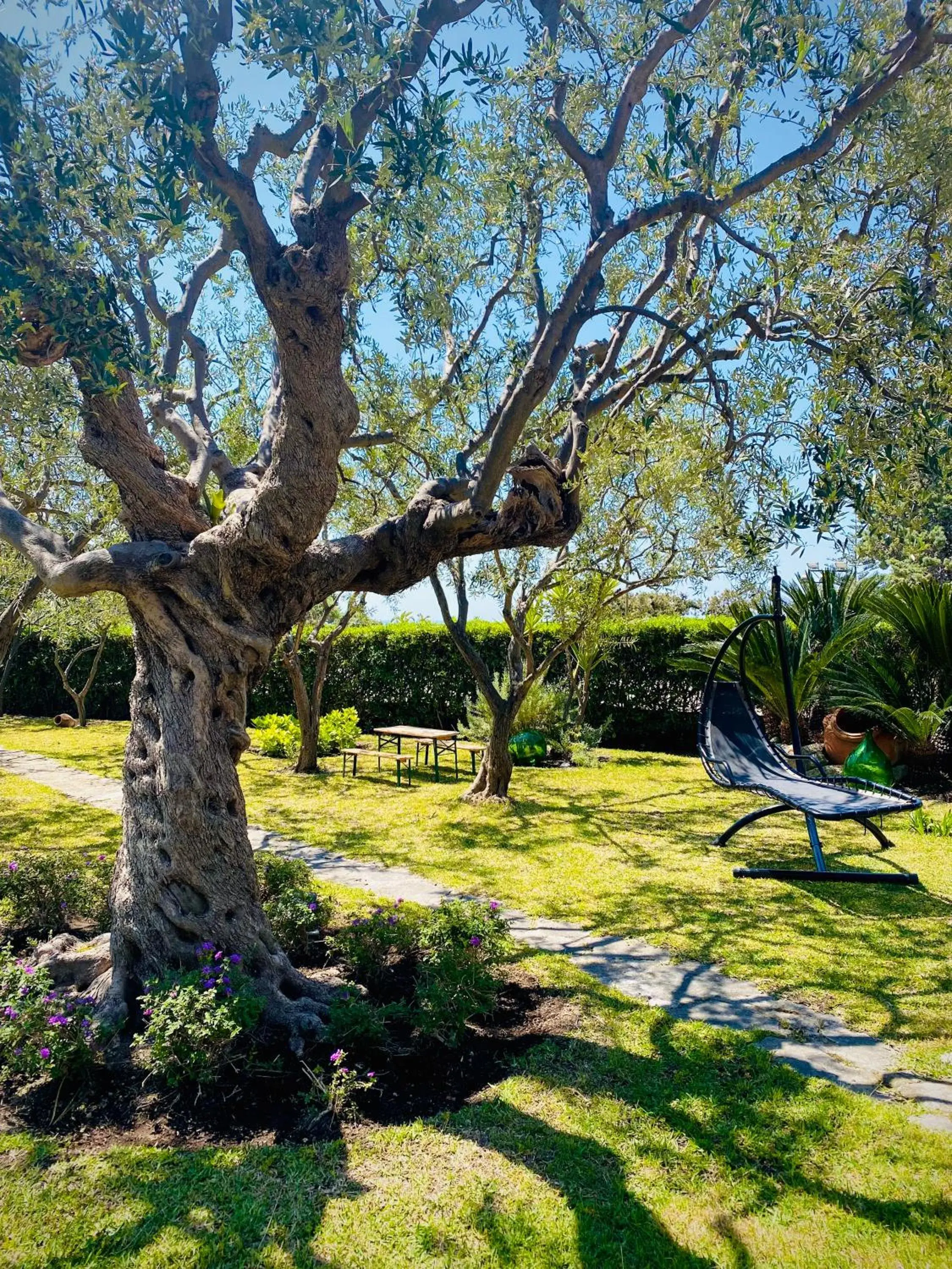 Garden in Hotel Ideal