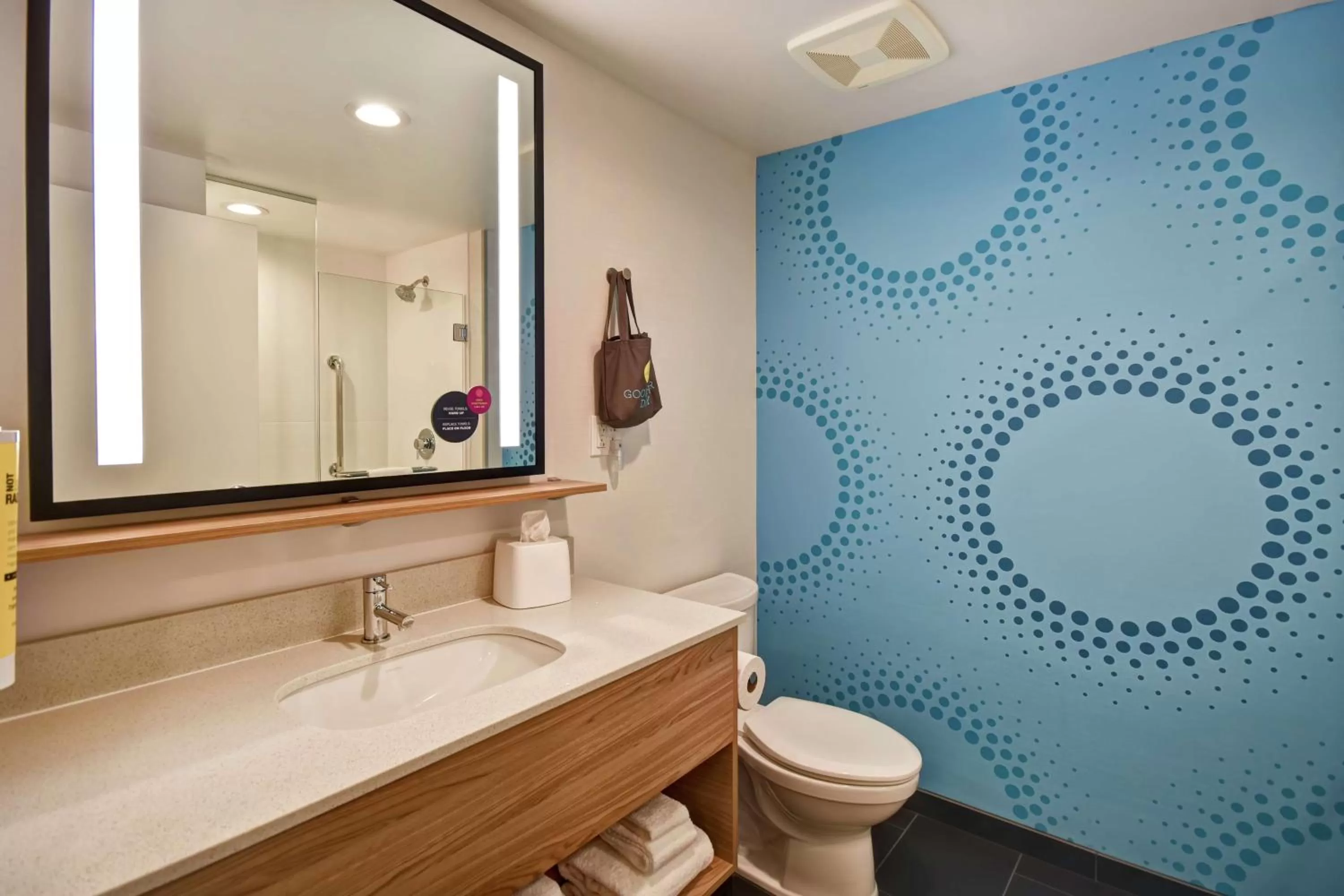 Bathroom in Tru By Hilton Wytheville Va