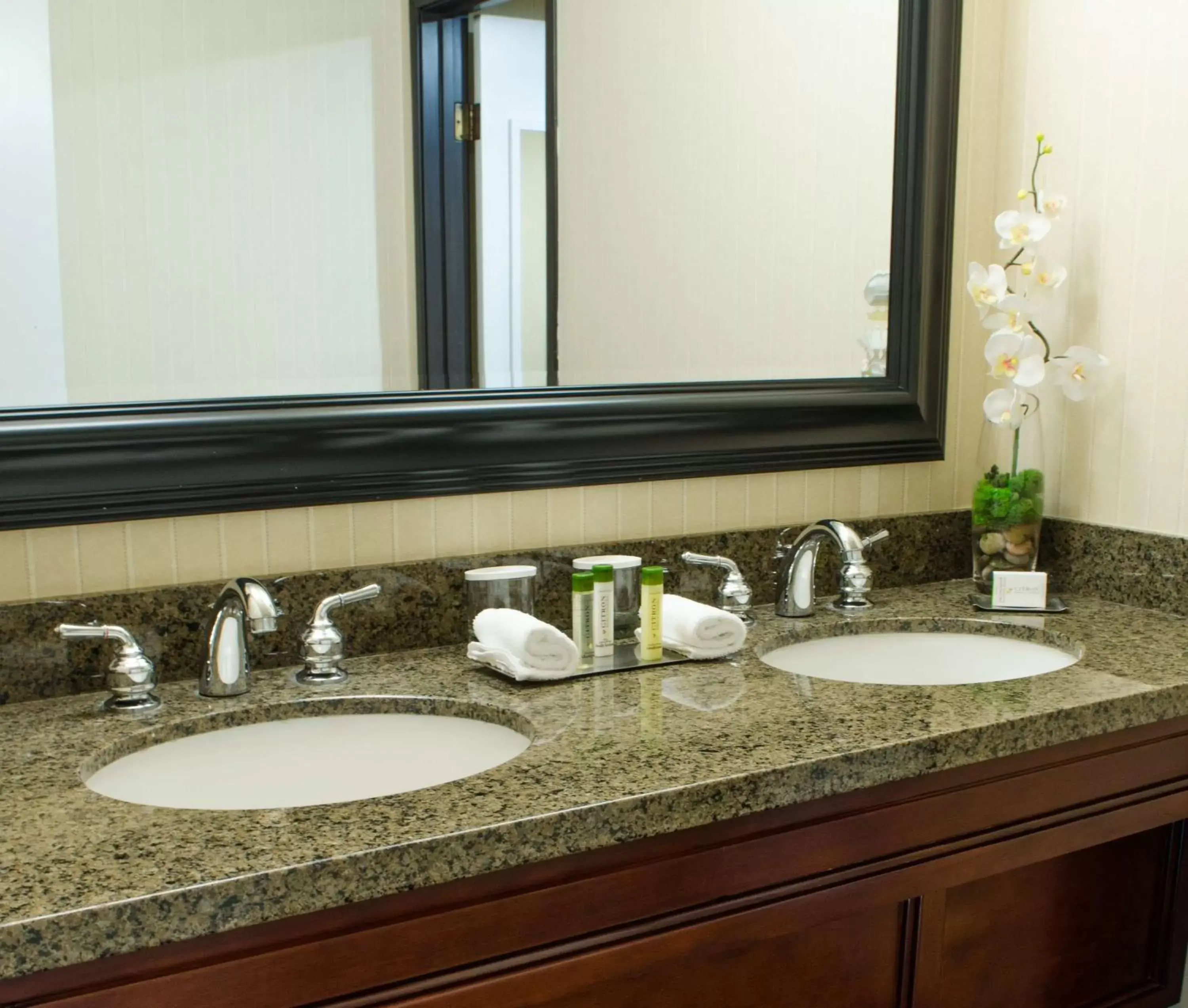 Bed, Bathroom in DoubleTree Suites by Hilton Tucson Airport