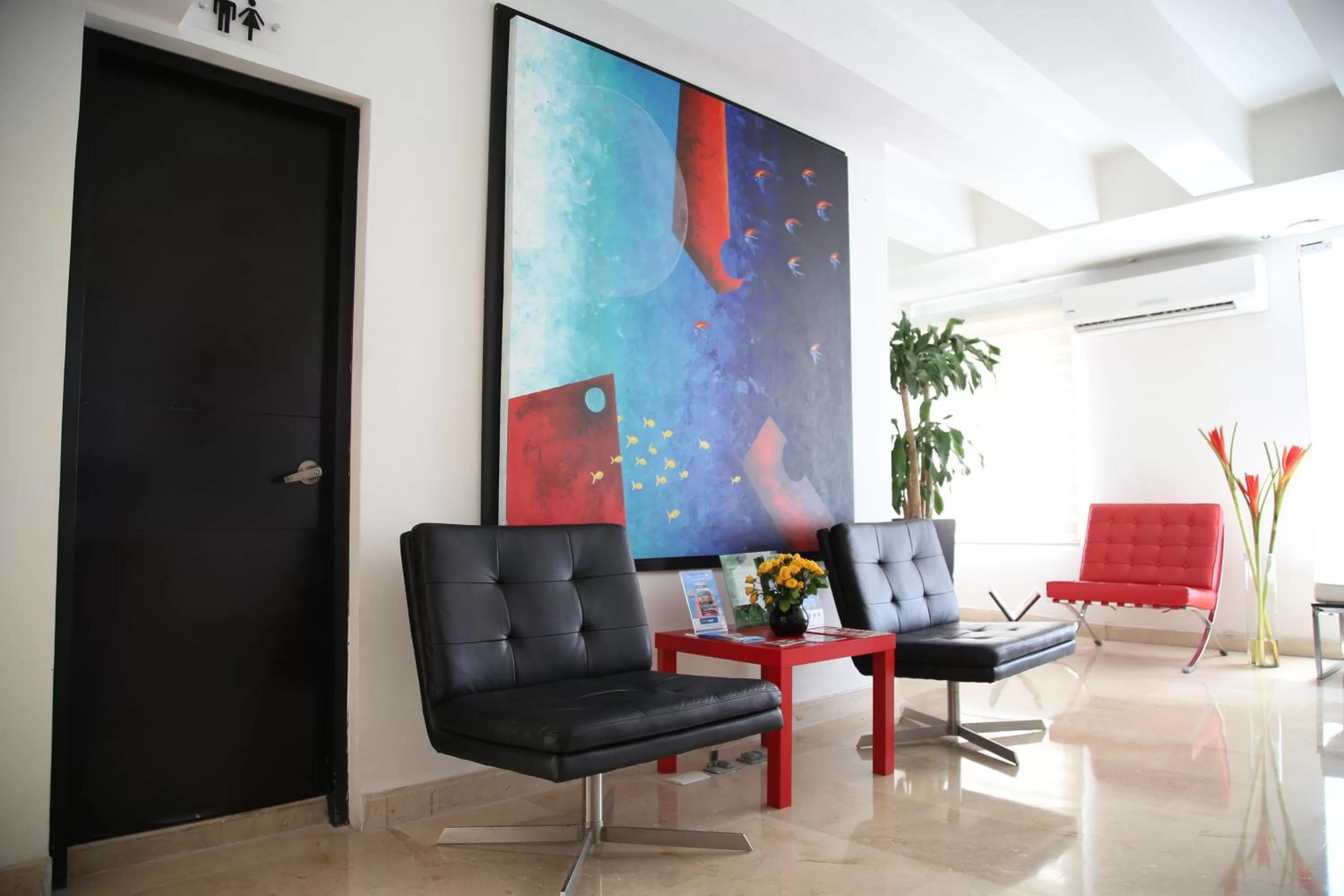 Area and facilities in Zalmedina Hotel