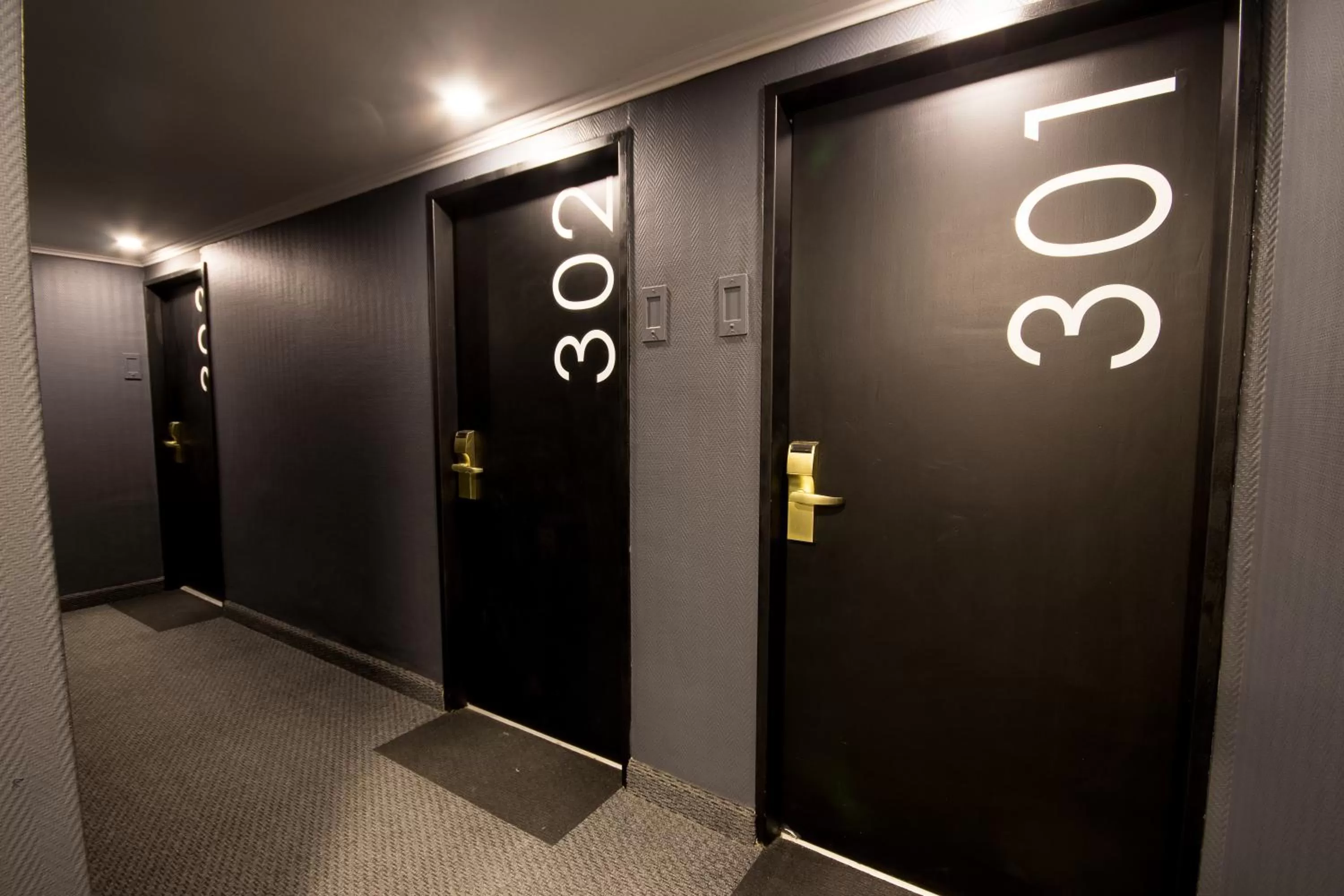 Area and facilities in Gran Hotel Buenos Aires