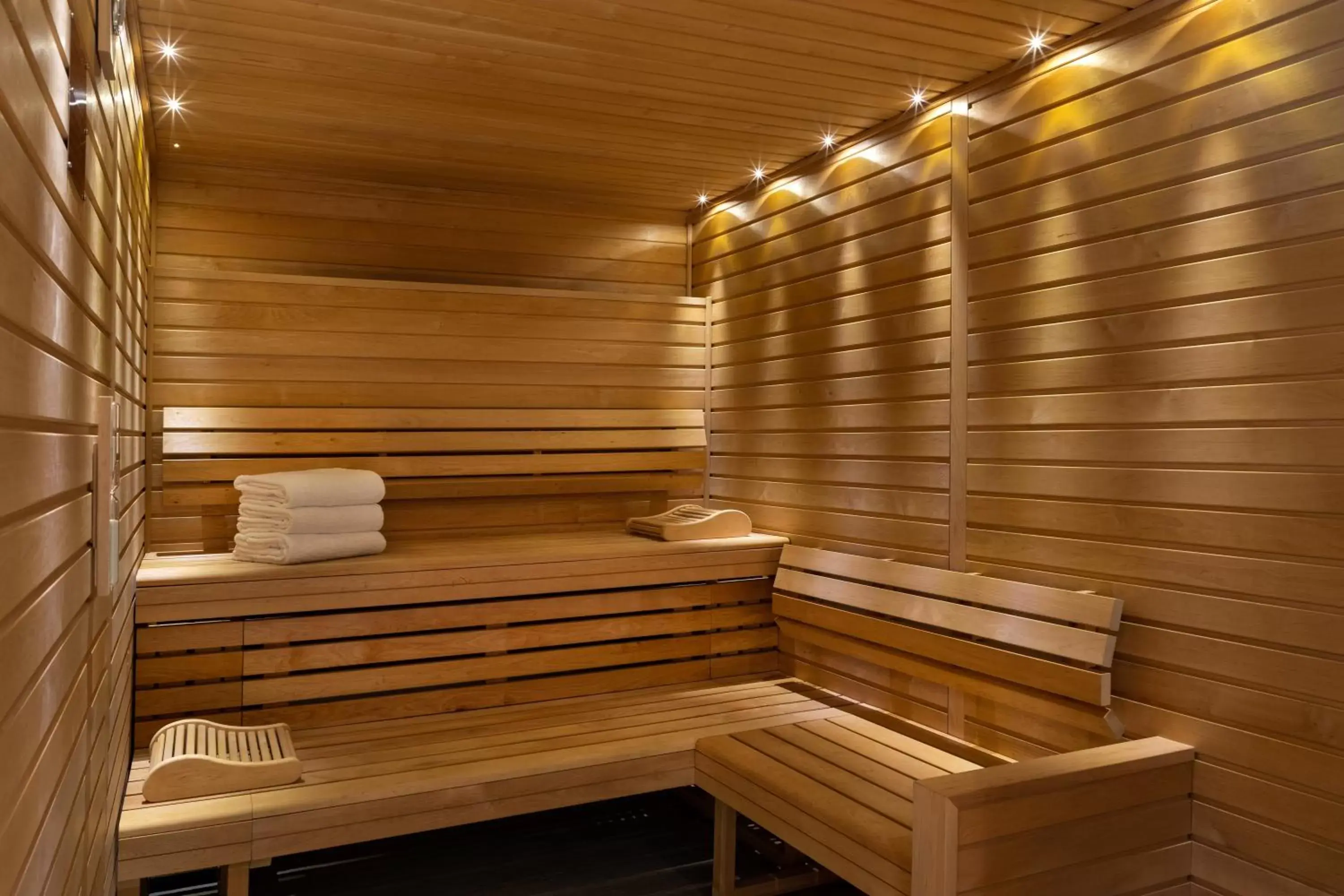 Sauna in Pullman Paris Centre - Bercy