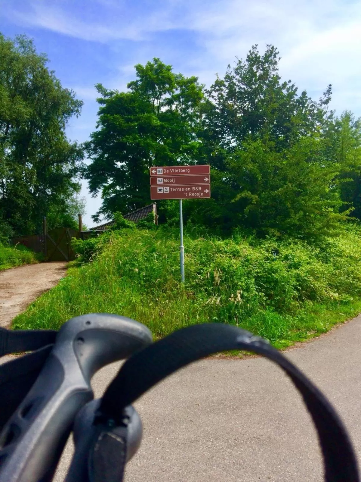 Natural landscape in MOoij Bed en Breakfast