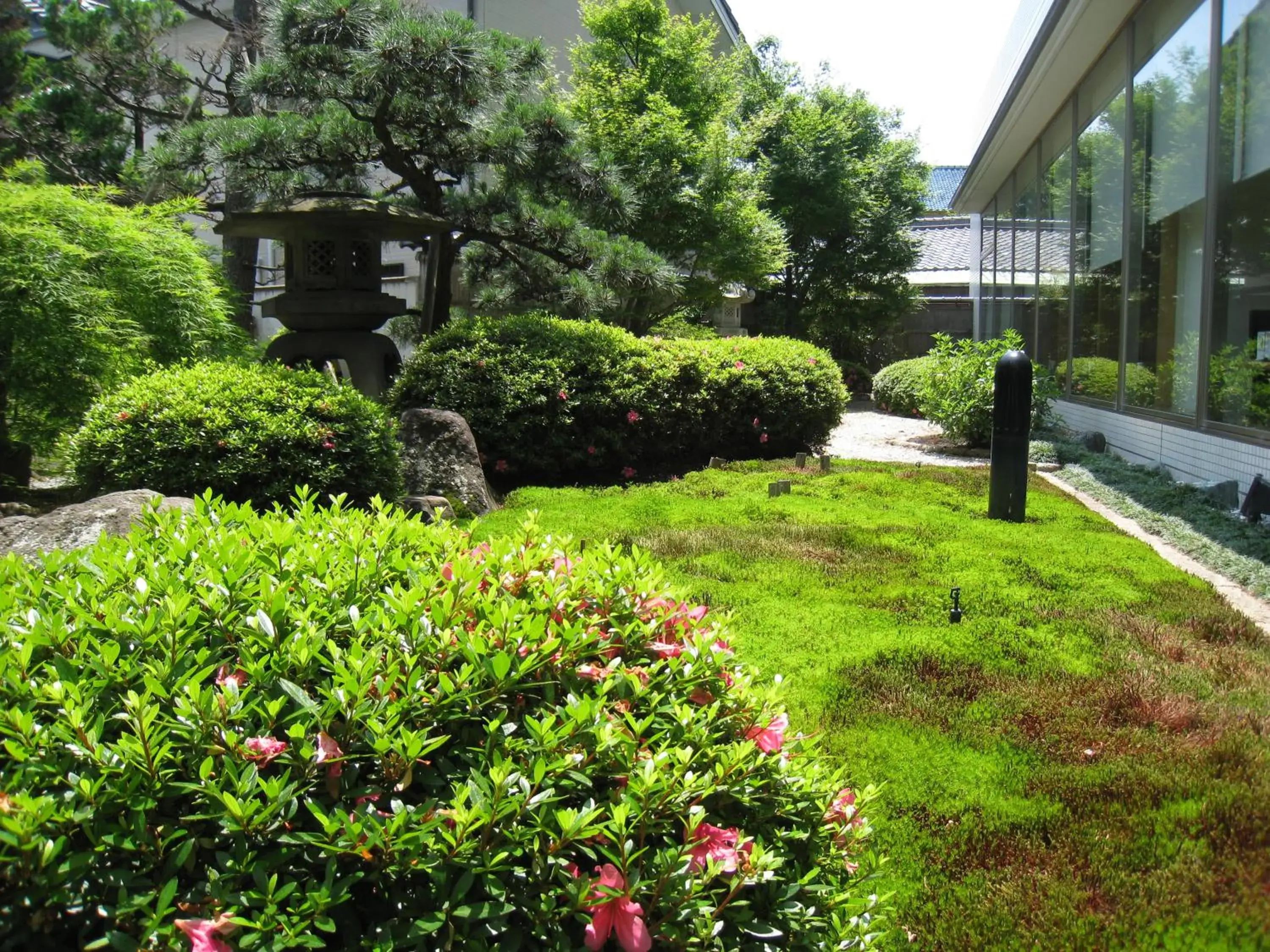 Garden view, Garden in Bellevue Garden Hotel