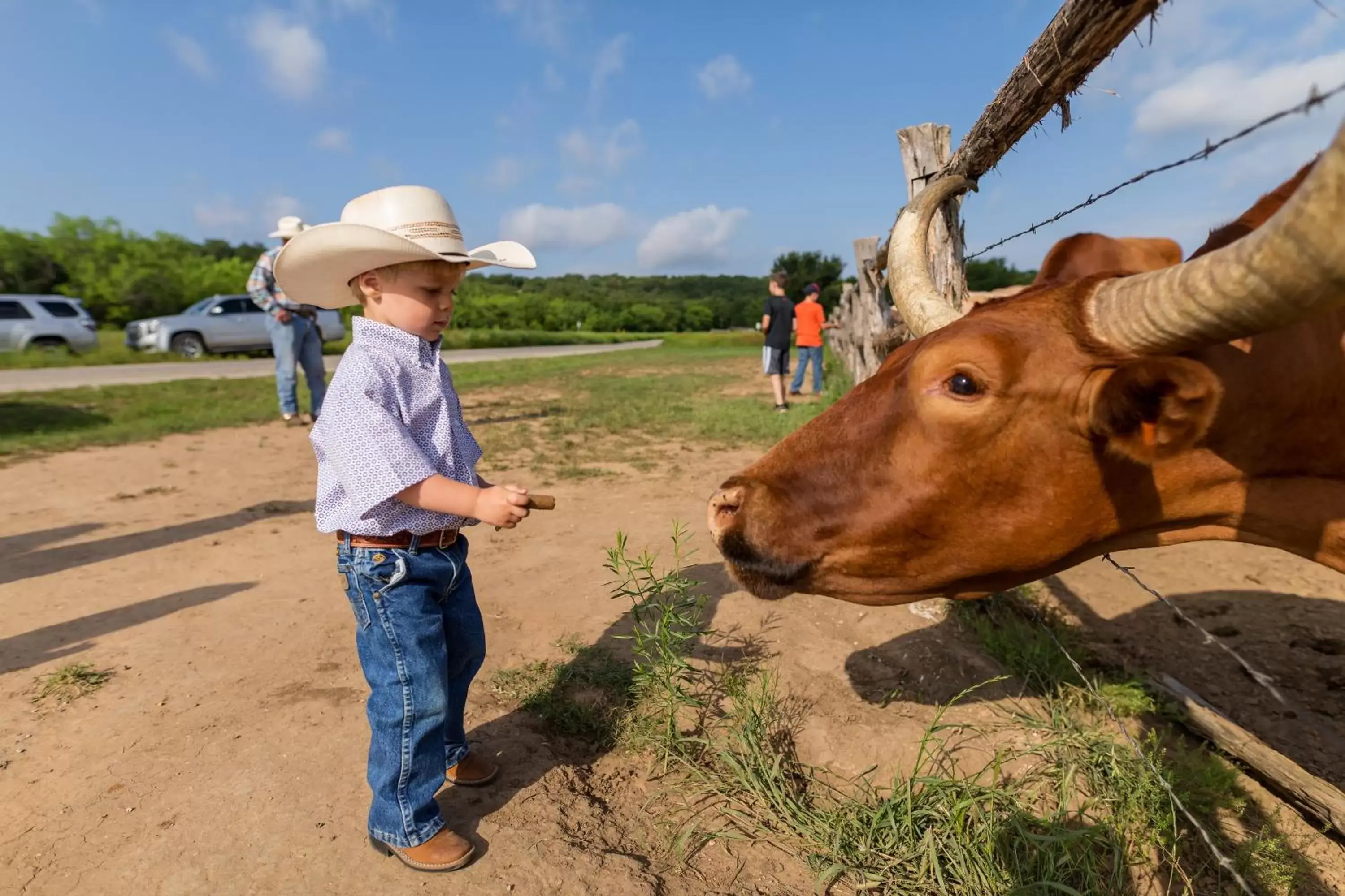 Activities, Children in Wildcatter Ranch and Resort