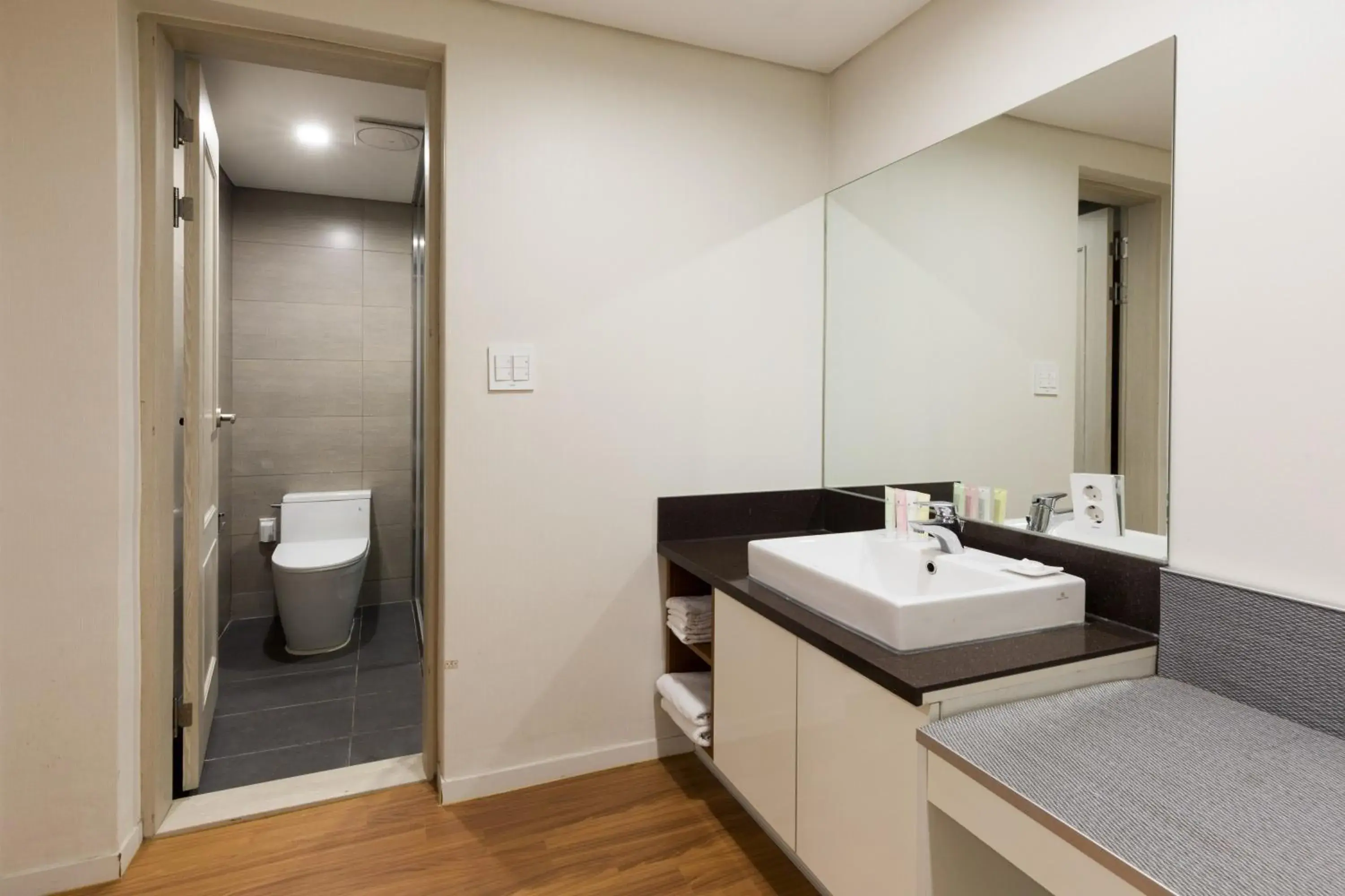 Toilet, Bathroom in Vistacay Hotel World Cup