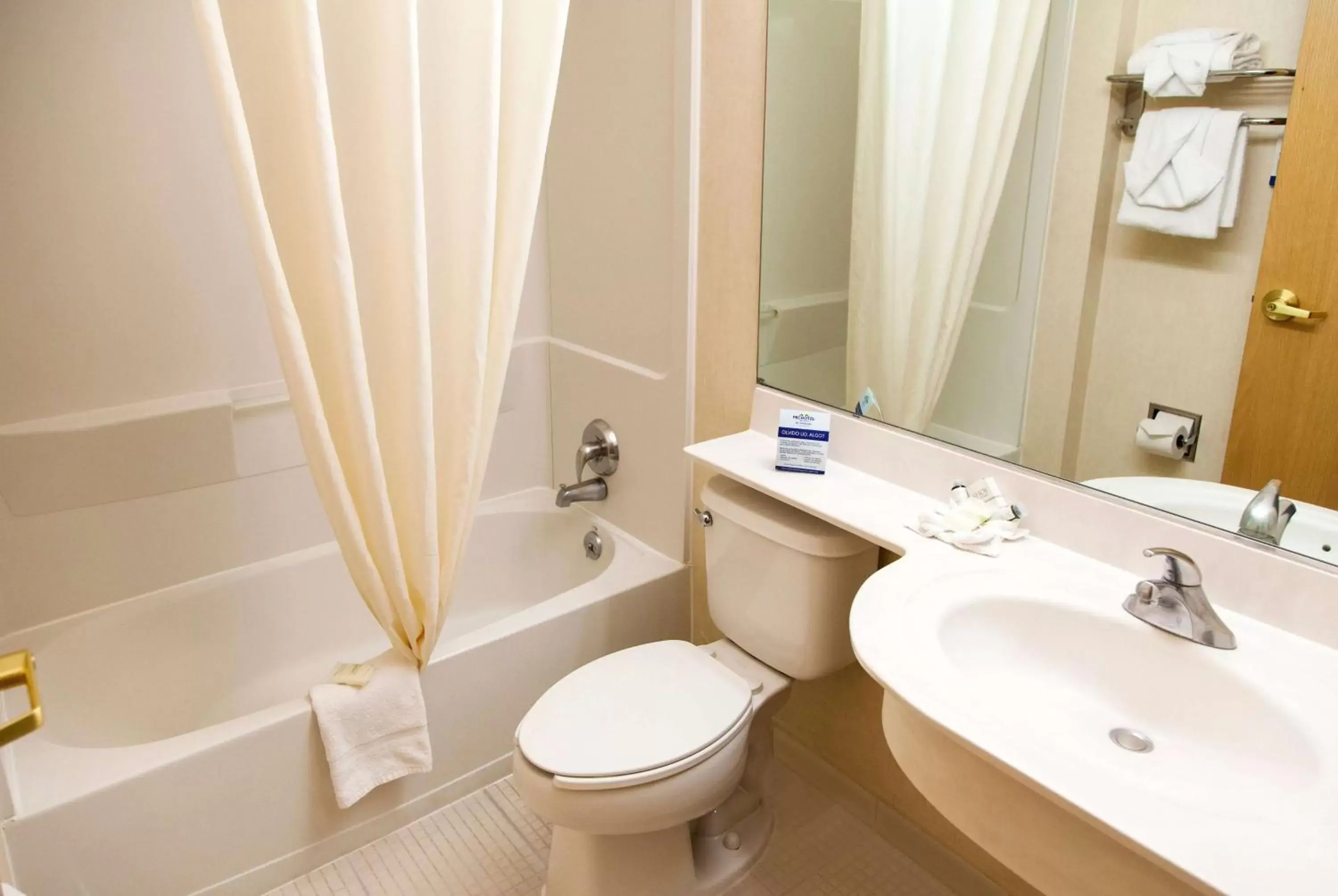 Bathroom in Microtel Inn & Suites by Wyndham Chihuahua