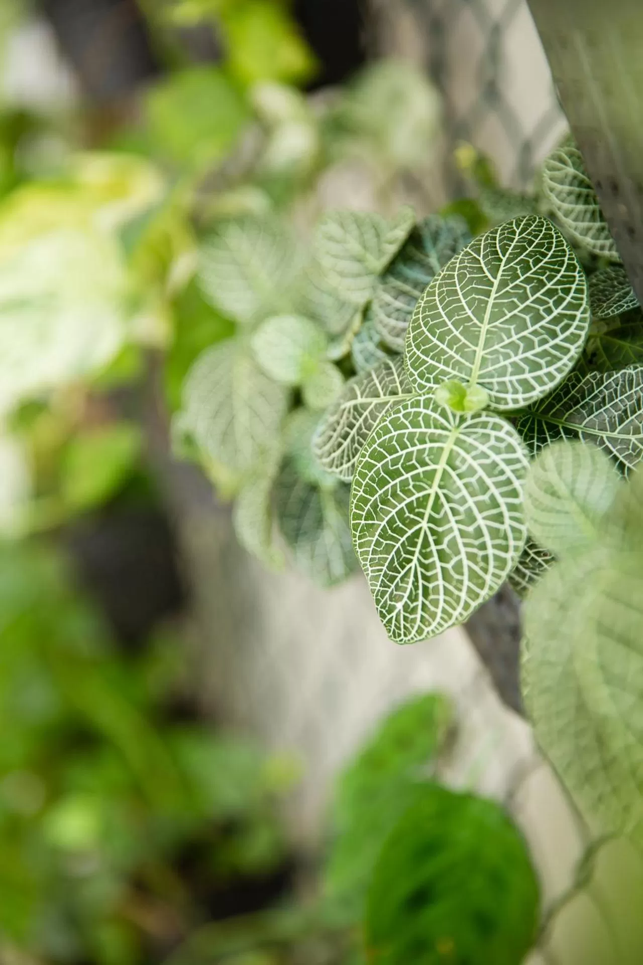 Other in Best Western El Dorado Panama Hotel