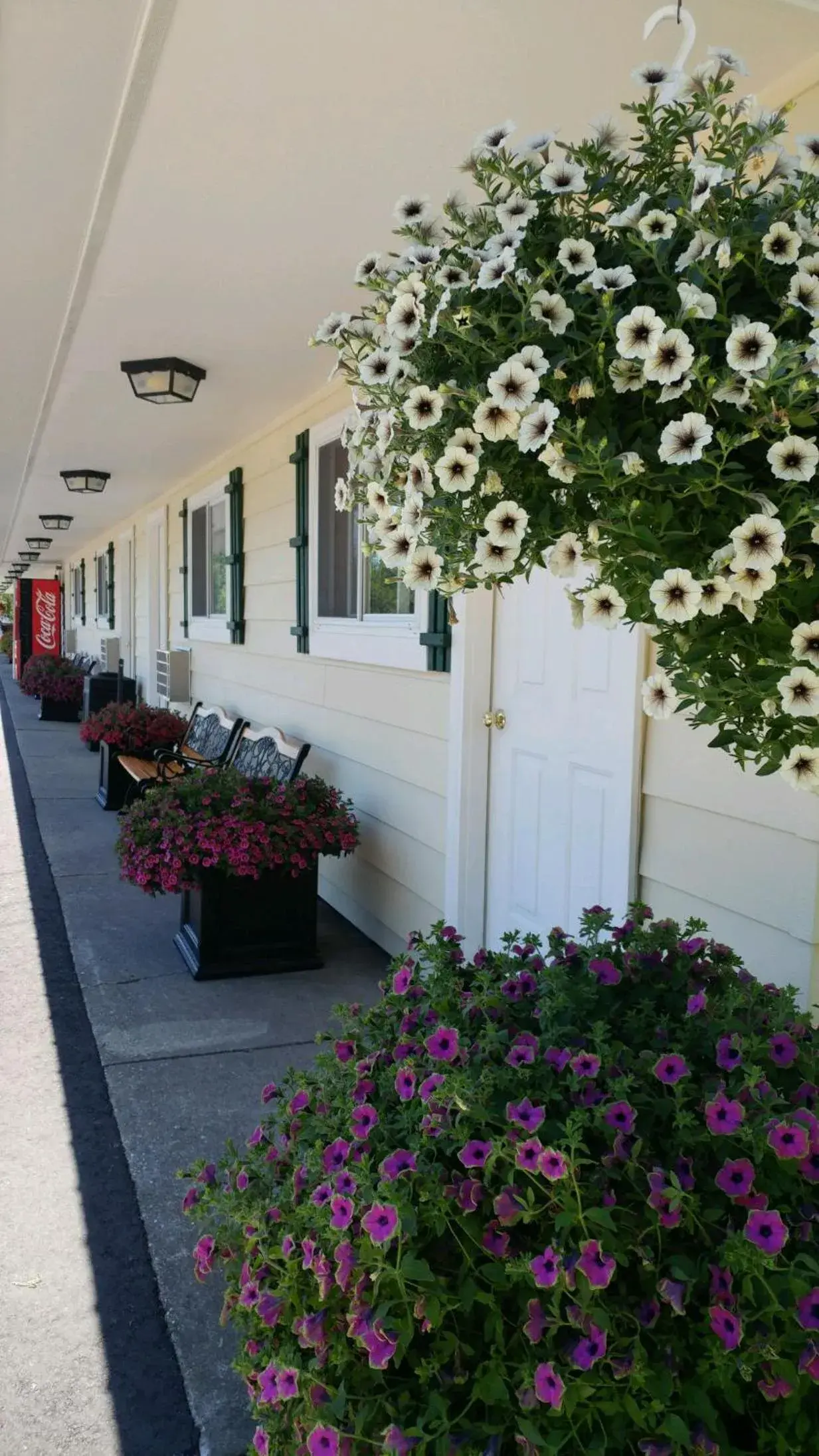 Sunset Motel of St. Ignace