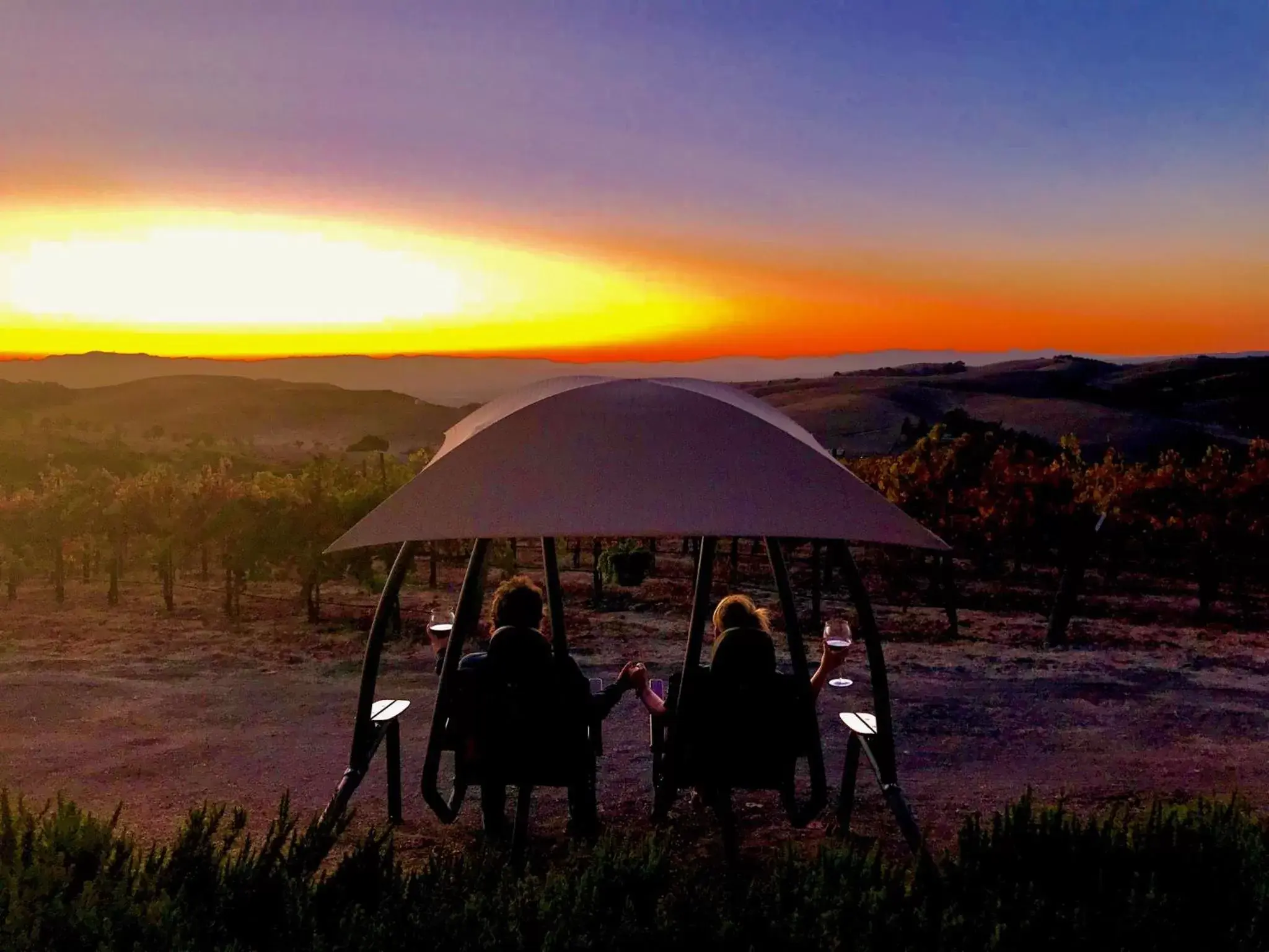 People, Sunrise/Sunset in The Eden House Vineyard